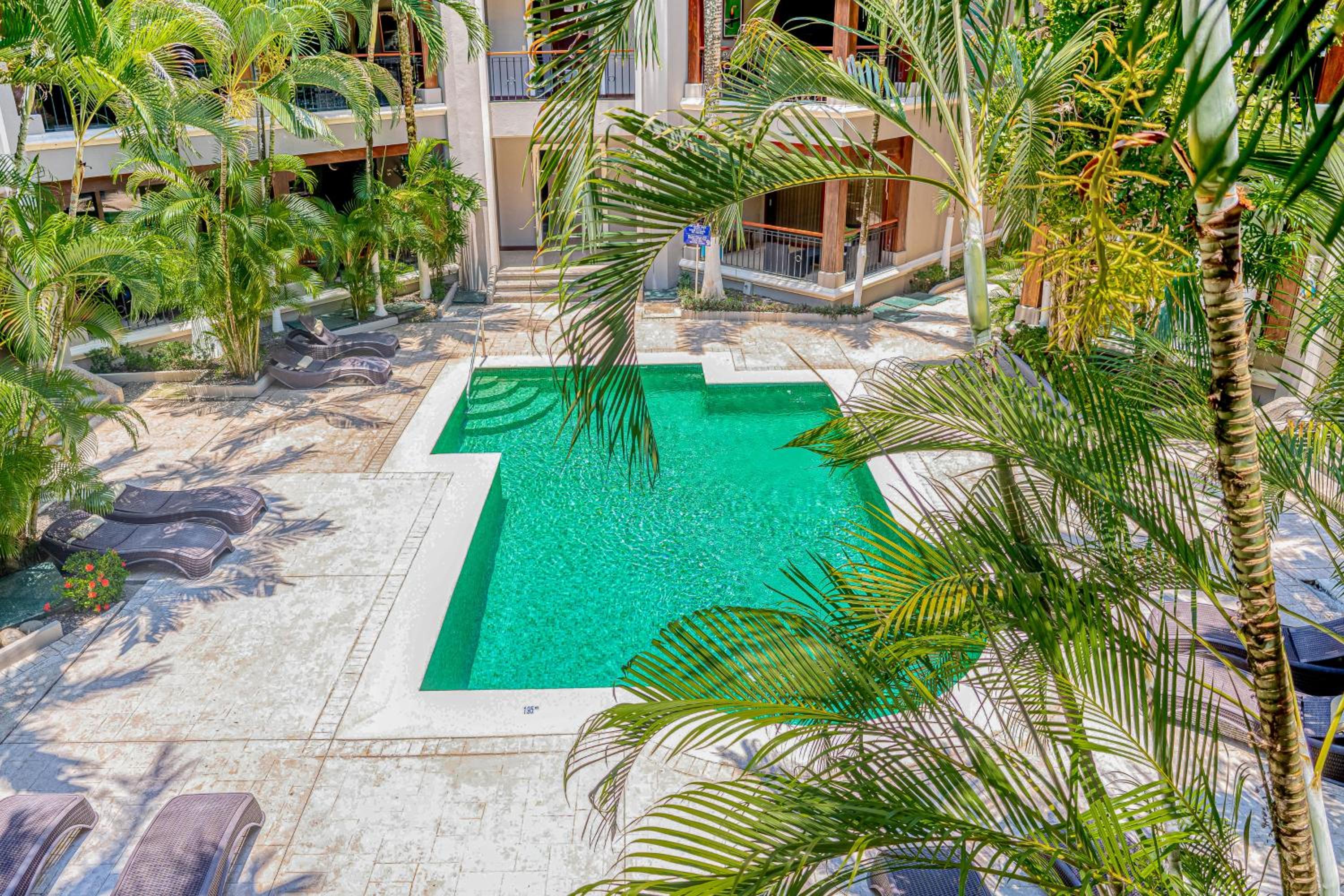 Macaw Oceans Club#20