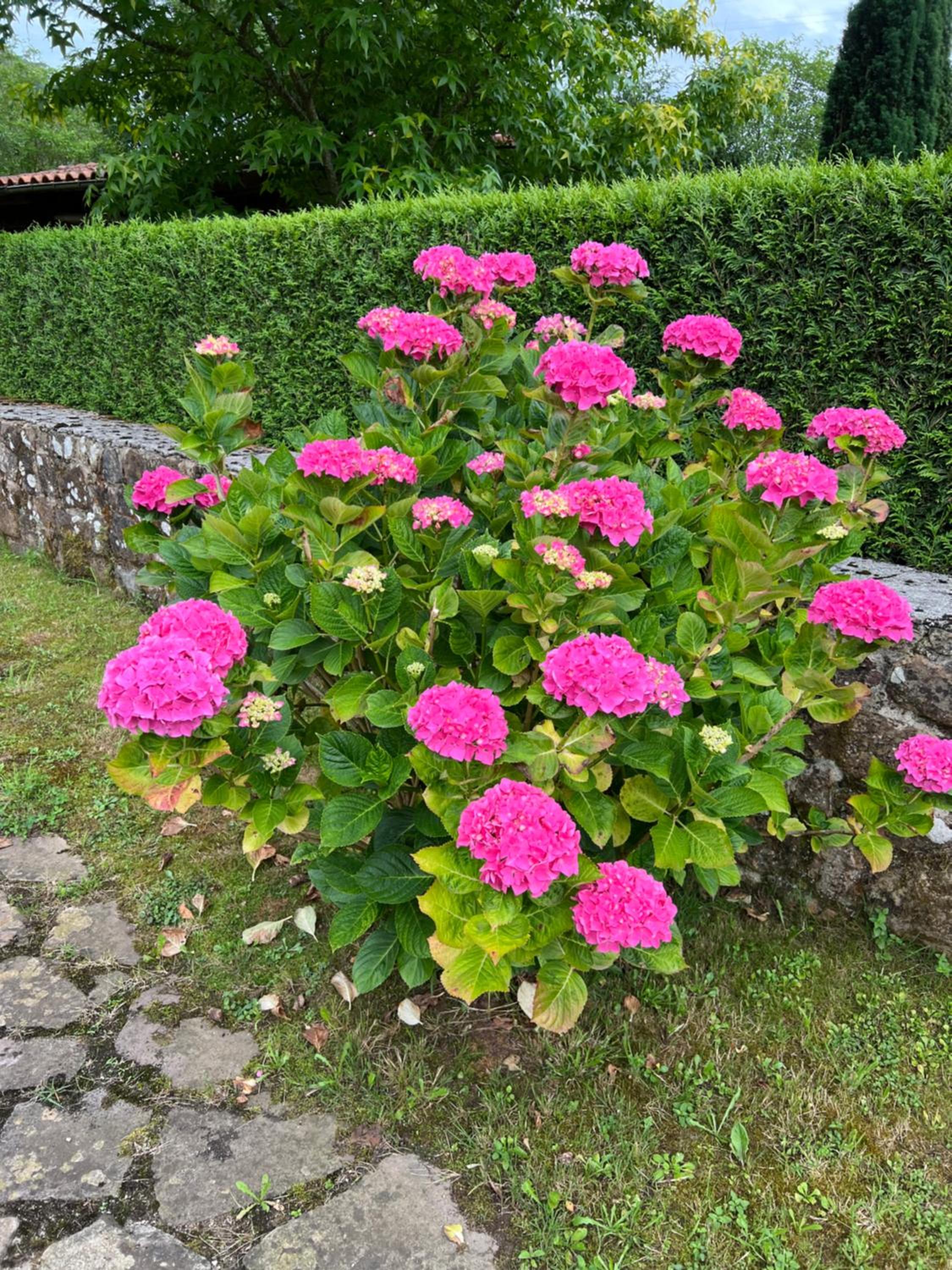 Photo 26