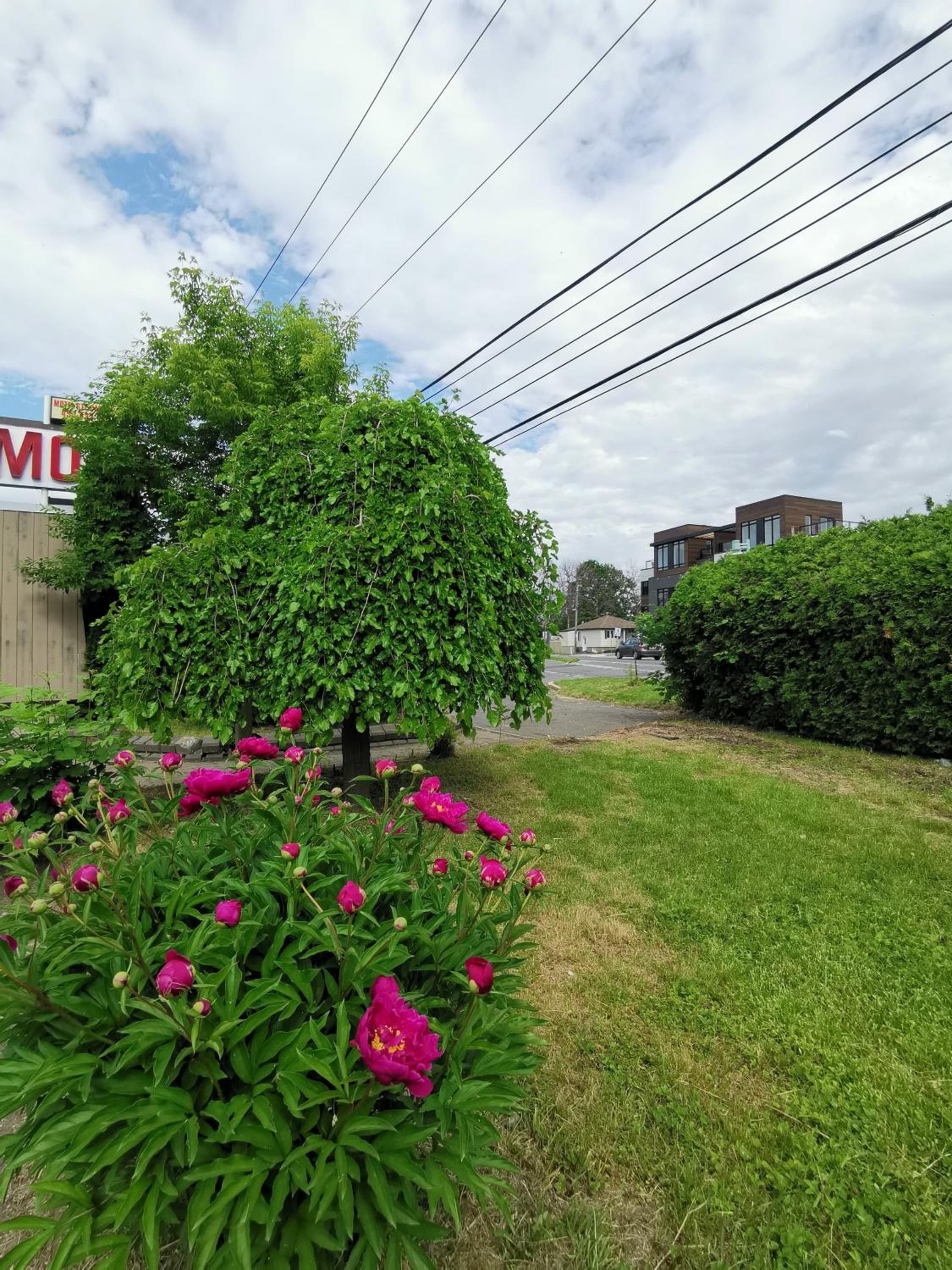 Motel Sainte Catherine