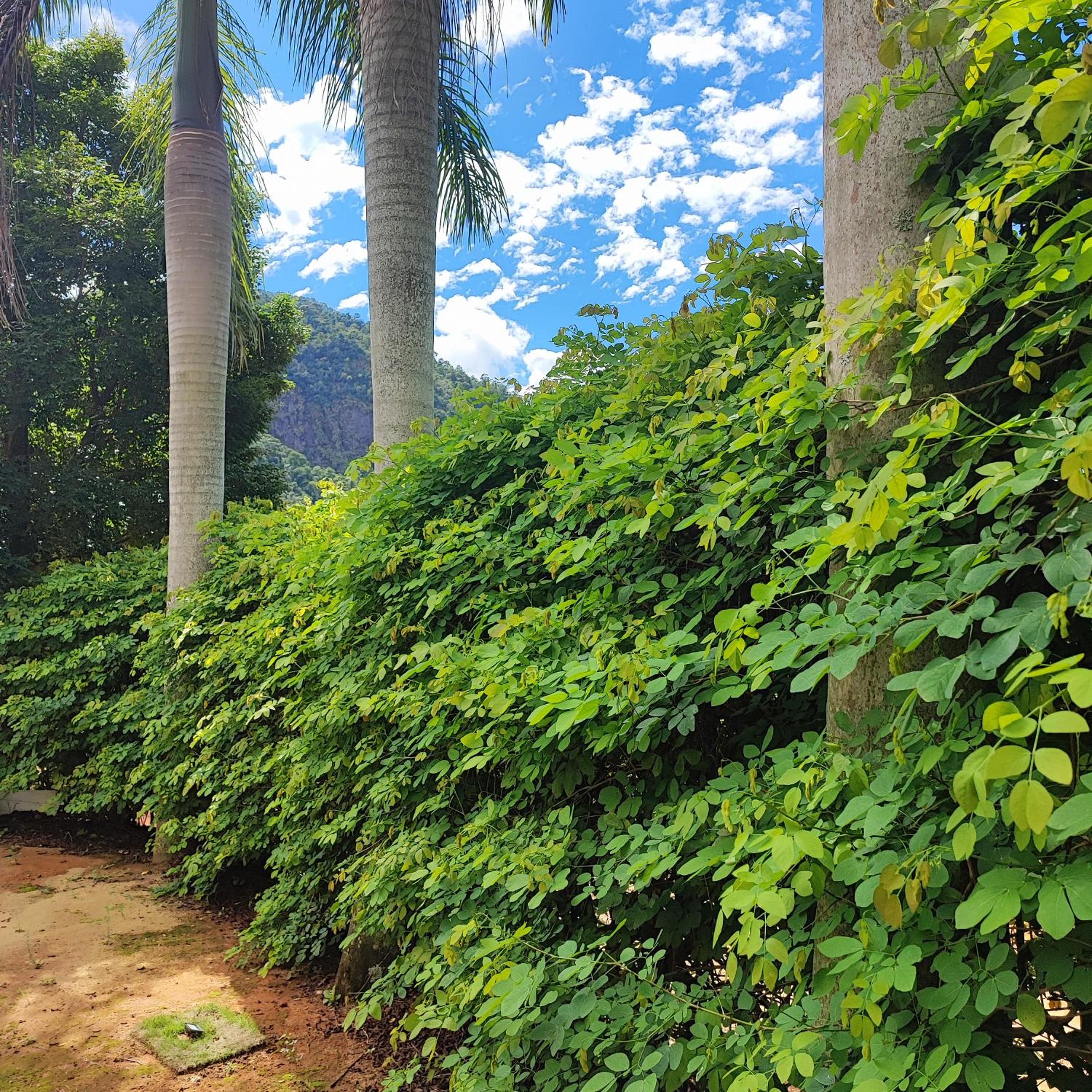 Recanto das Montanhas