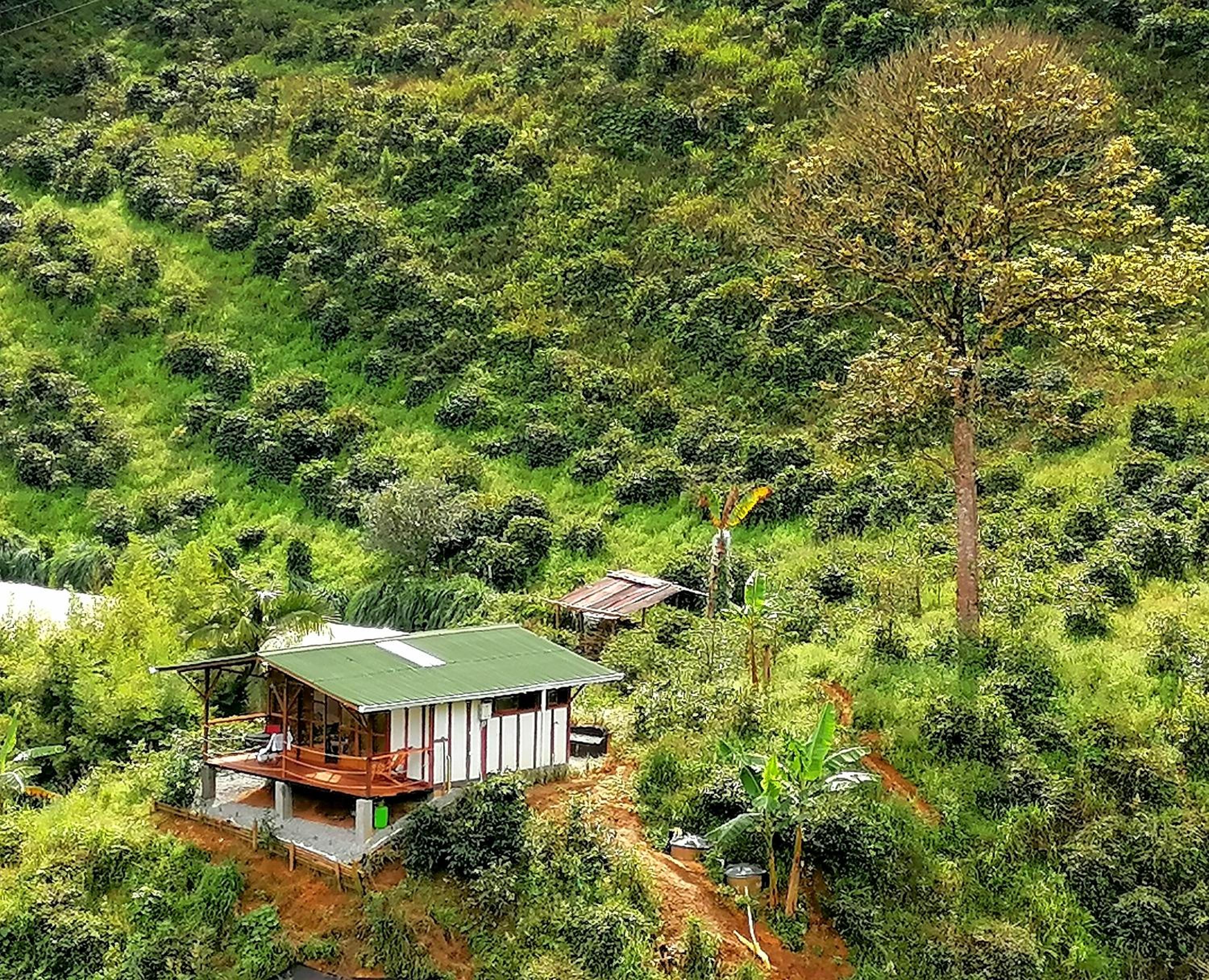 Moraia Bioconecta Cabaña El Porvenir