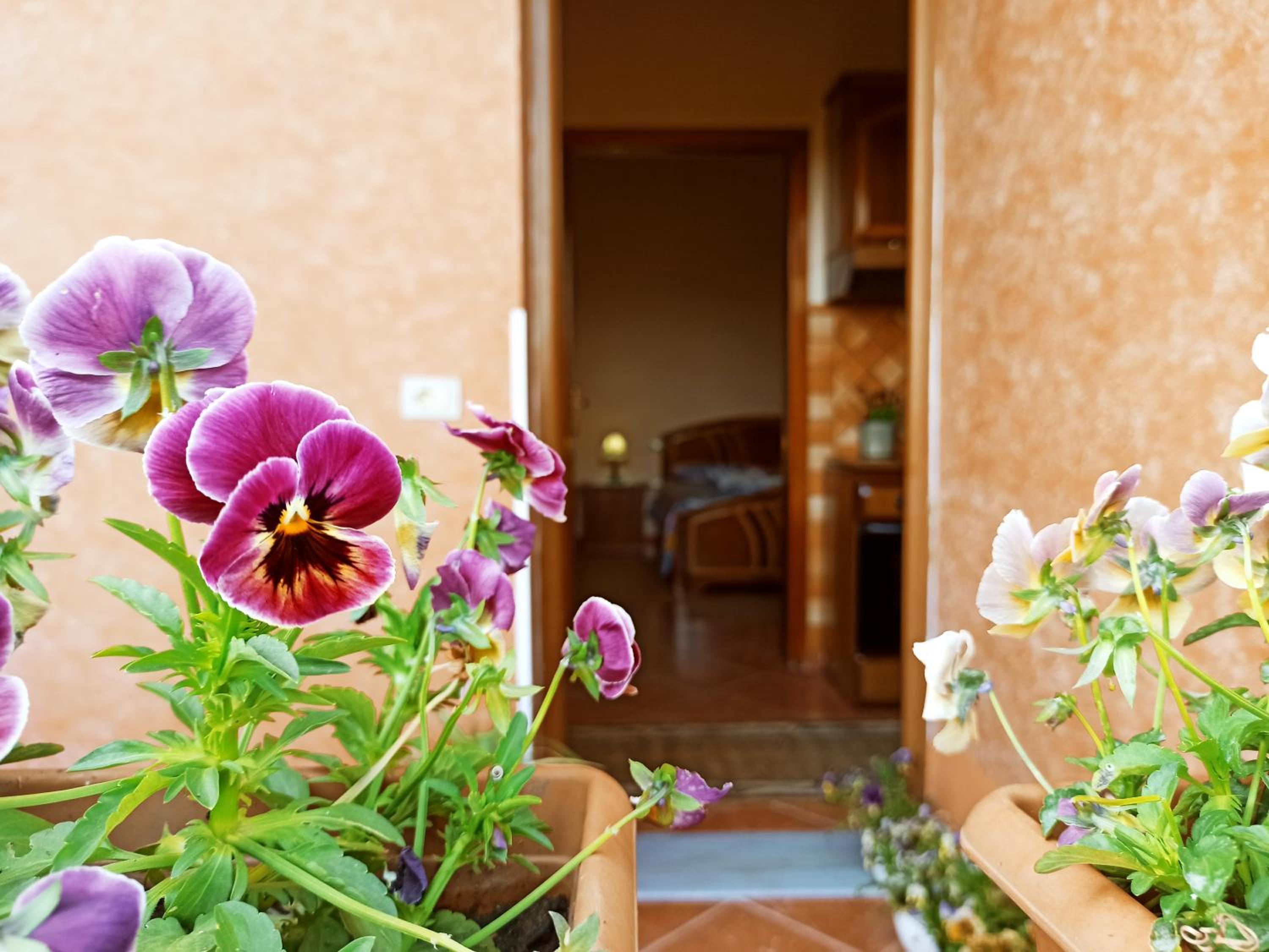 The Garden Guest House