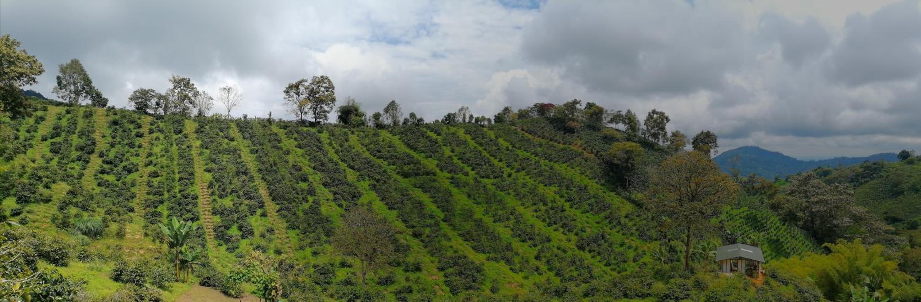 Moraia Bioconecta Cabaña El Porvenir