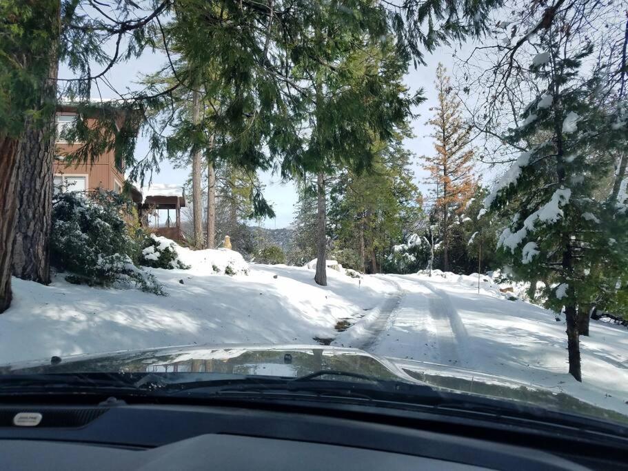 Uncle Grizz's Cabin...get intouch with nature view 4