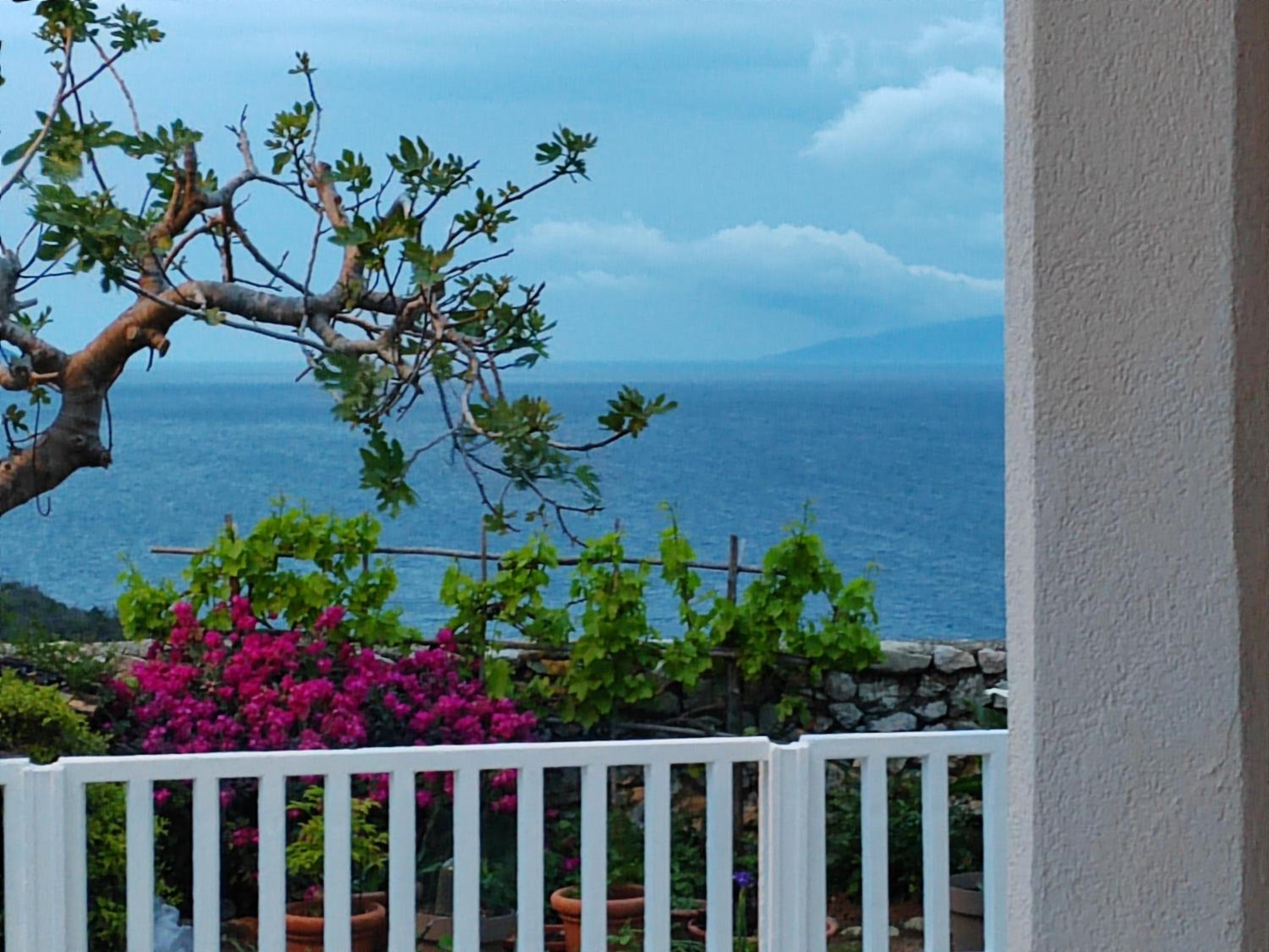 Apartments Giana view 5