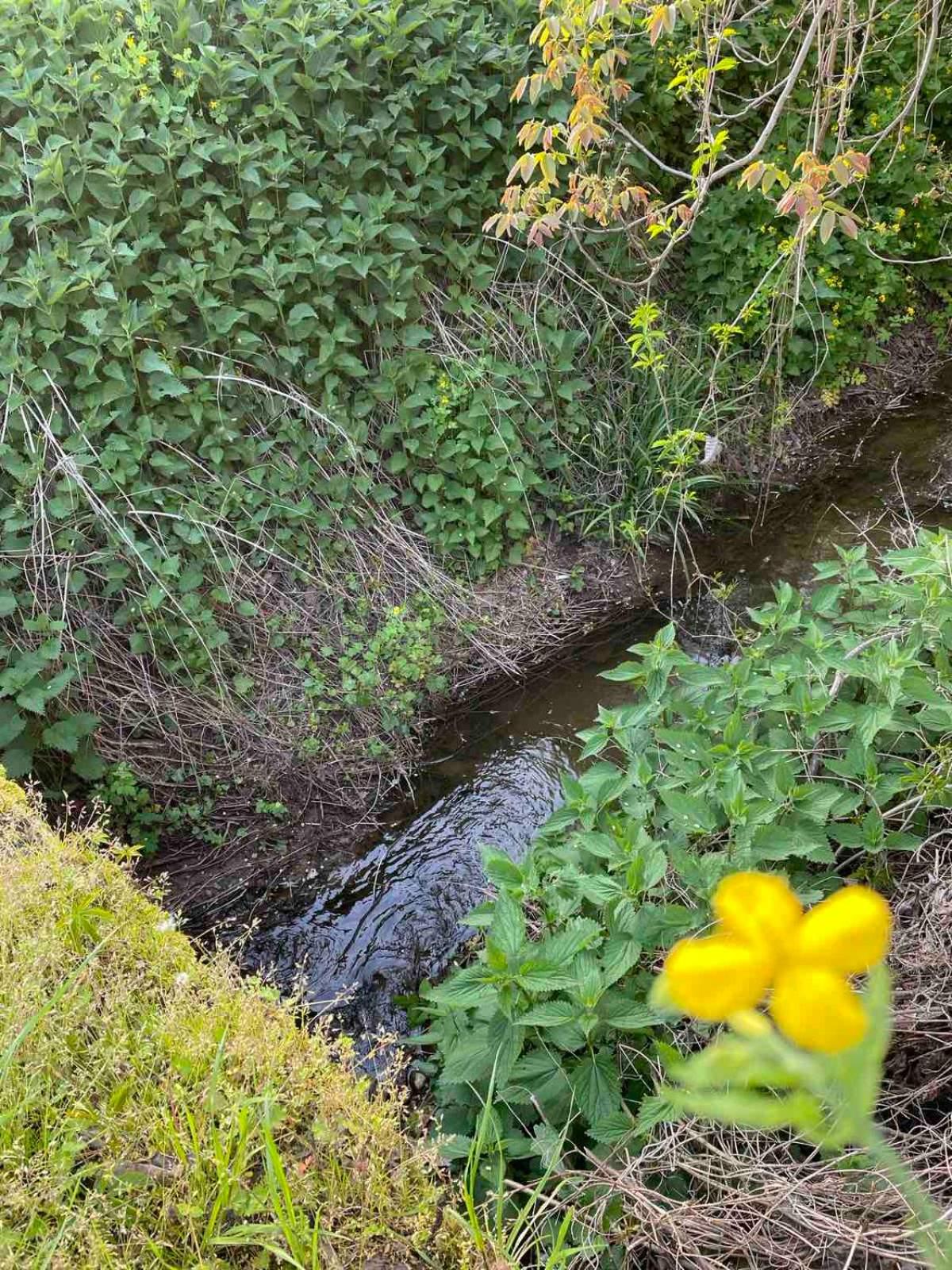 Photo 42