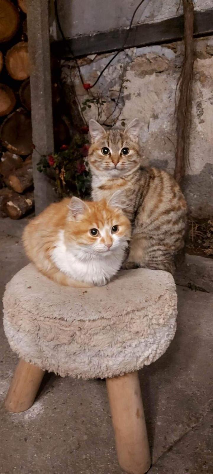 Къща Христини