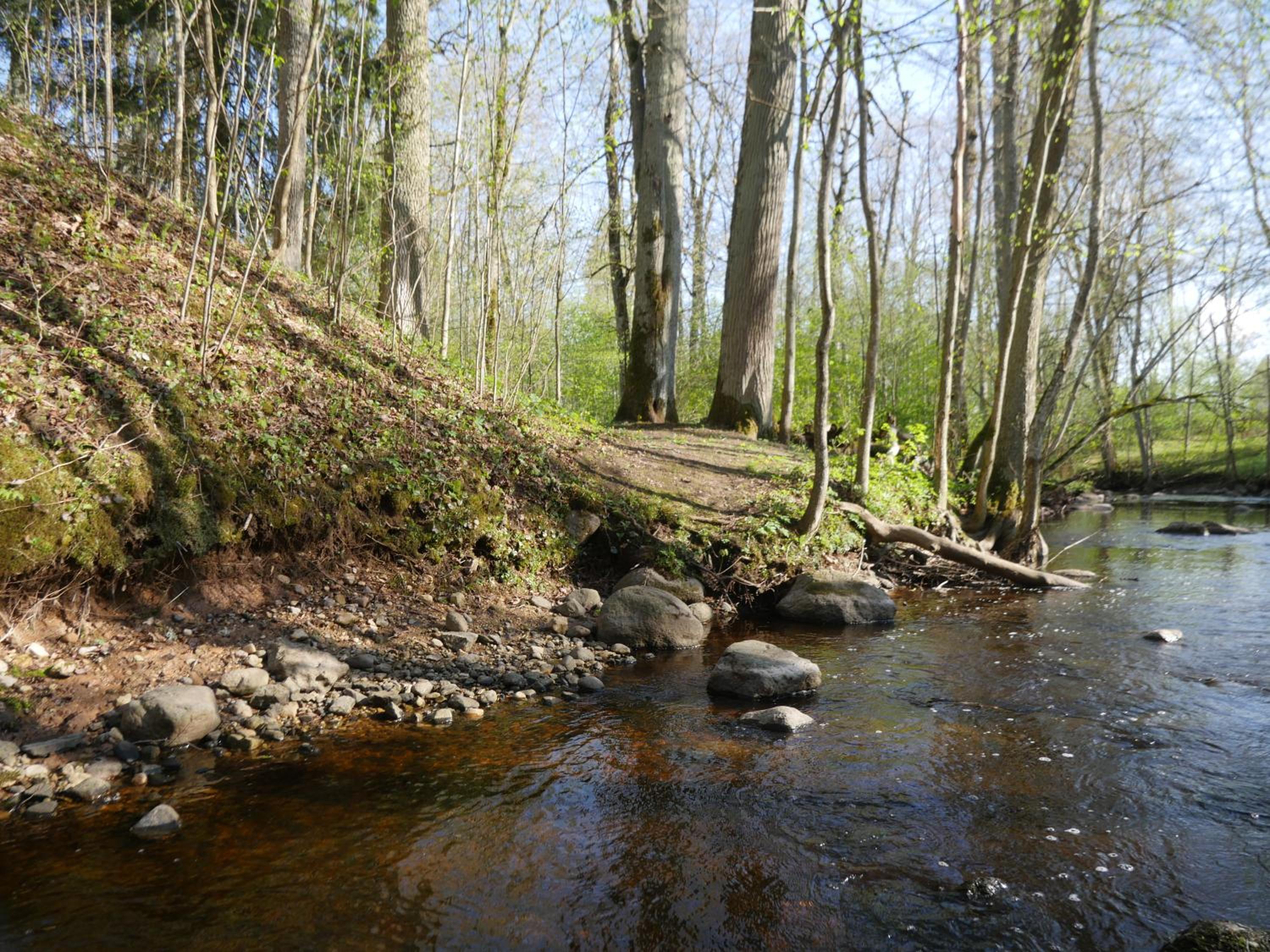 Photo 41