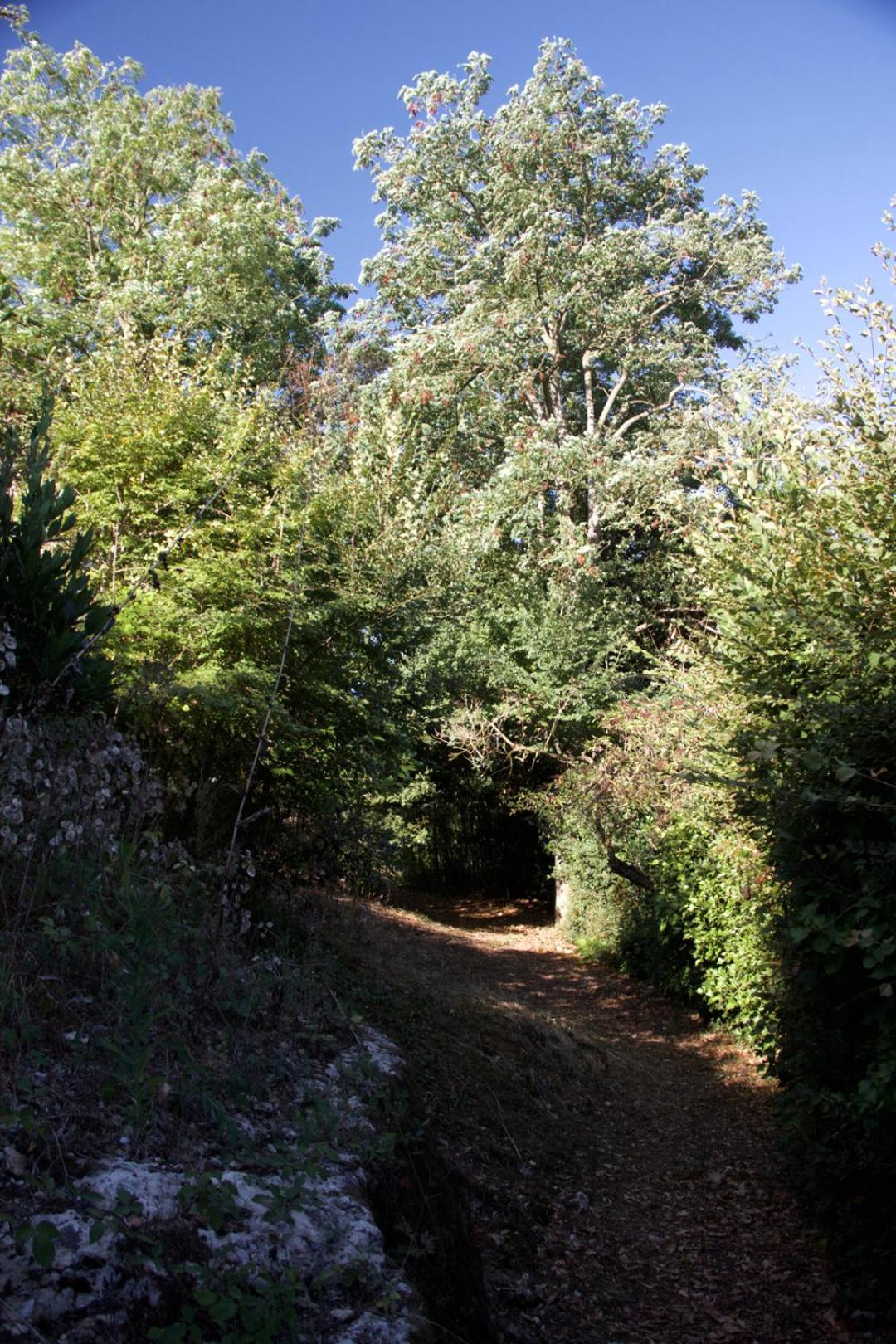 Photo 52