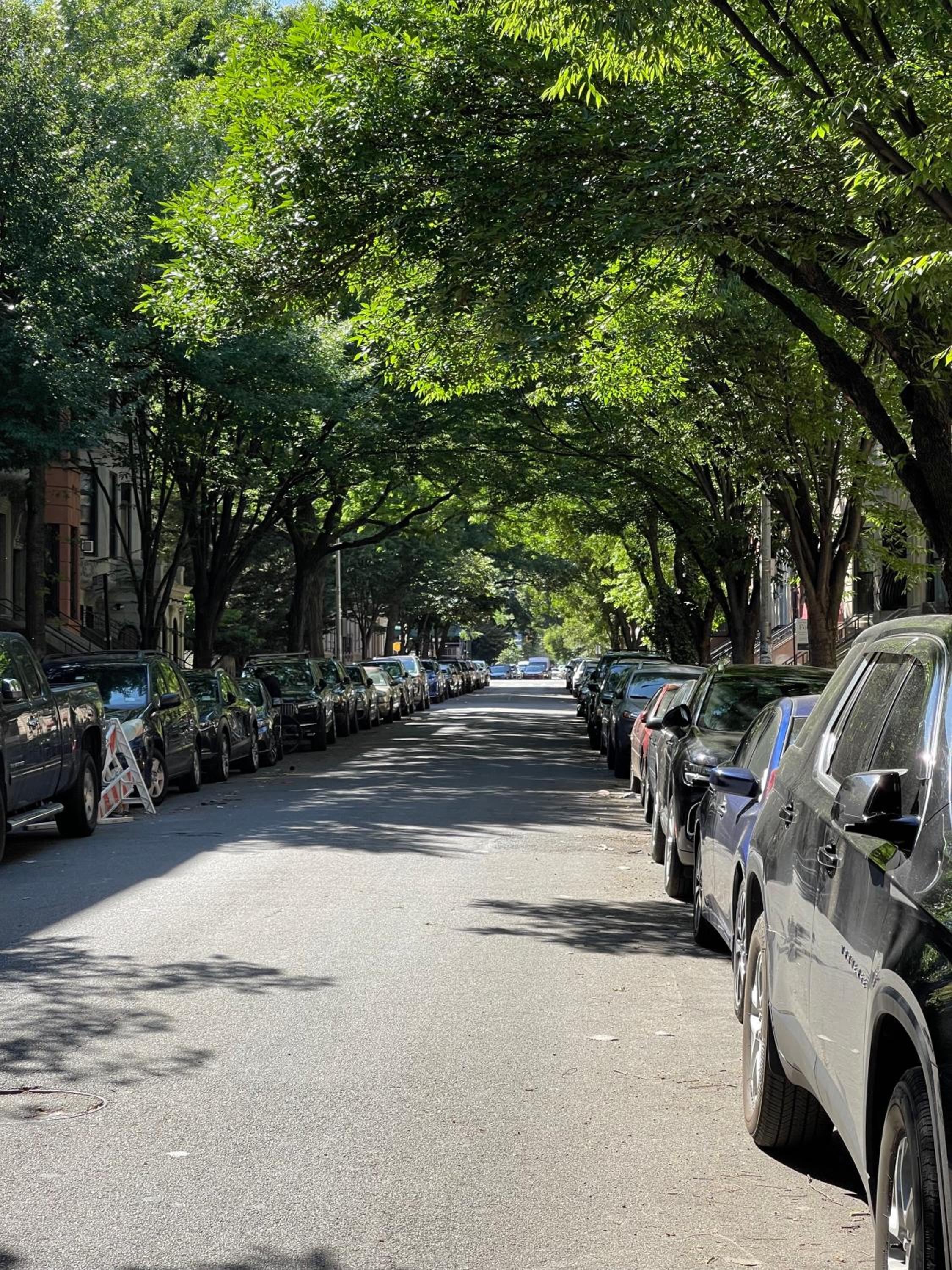 Home NYC