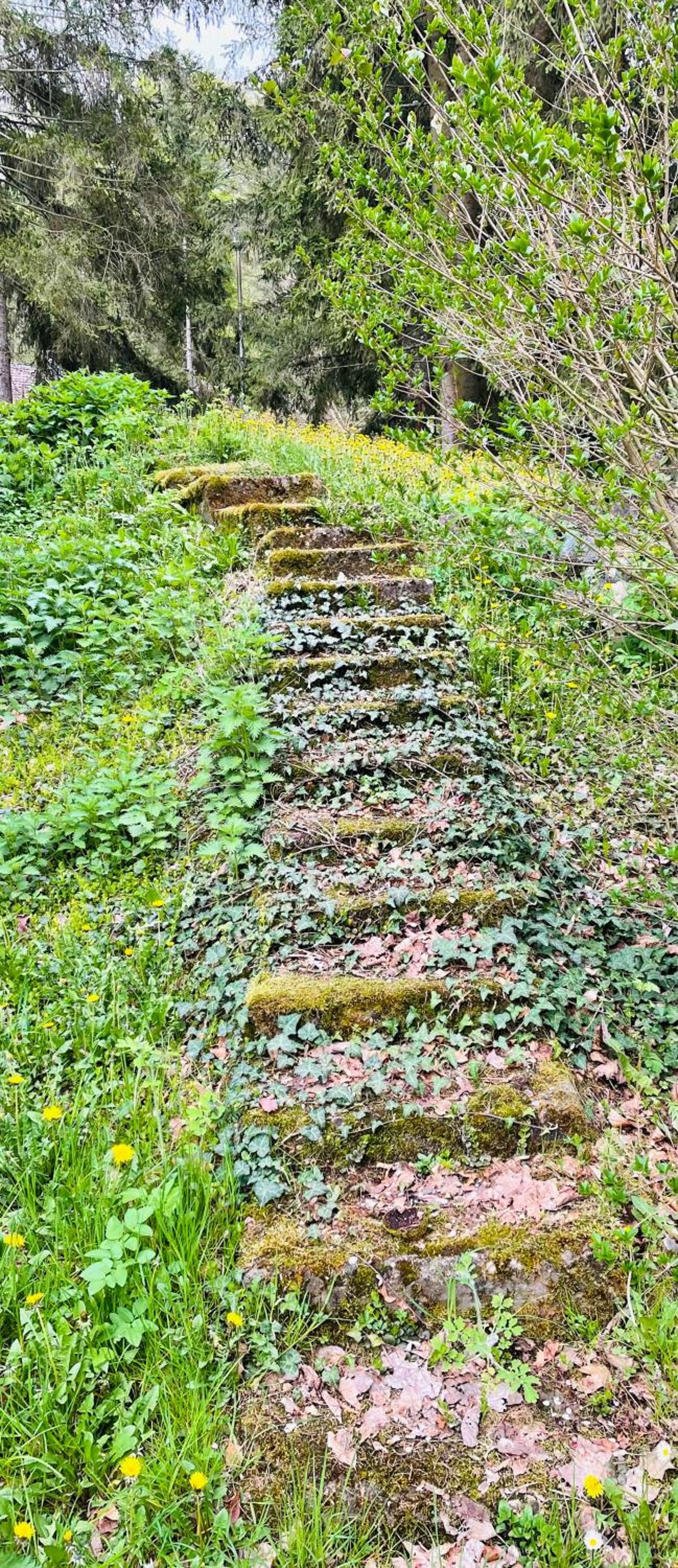 Photo 44