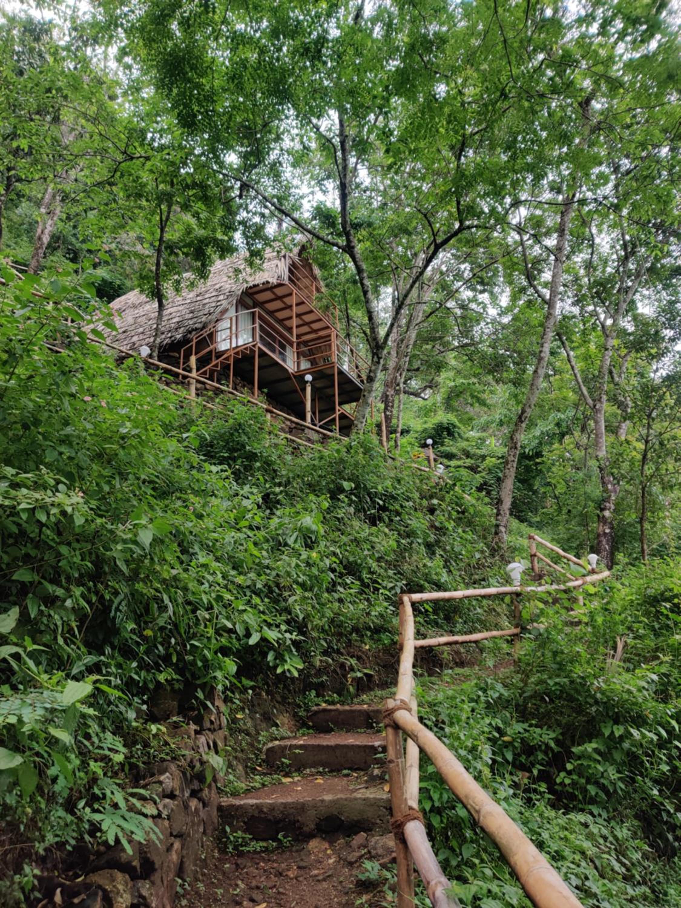 Photo 13