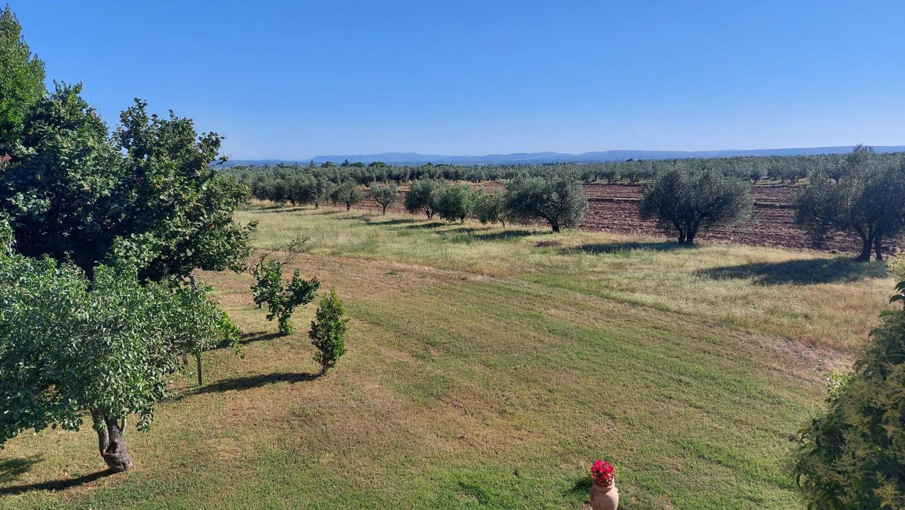 Agriturismo La Corte - Viterbo Terme view 2
