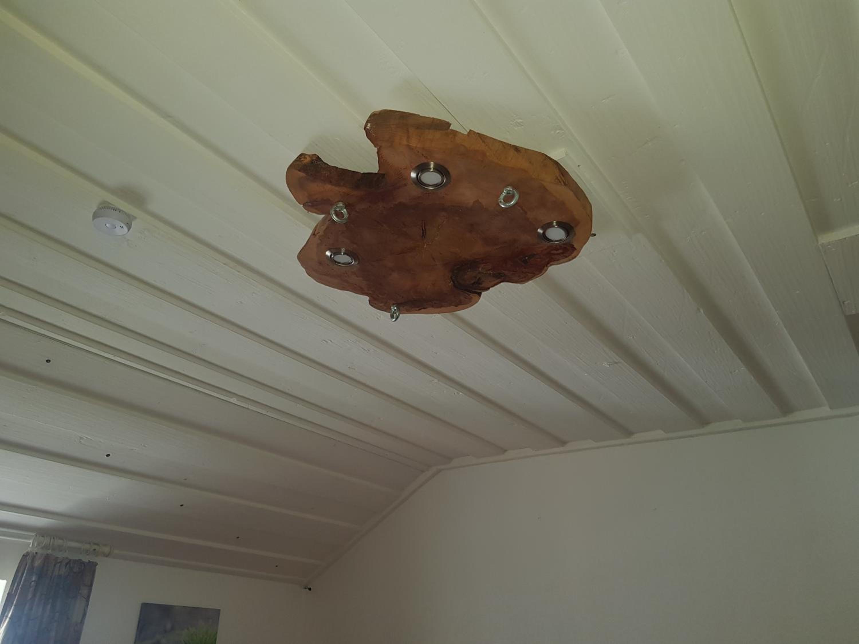 Photo 43