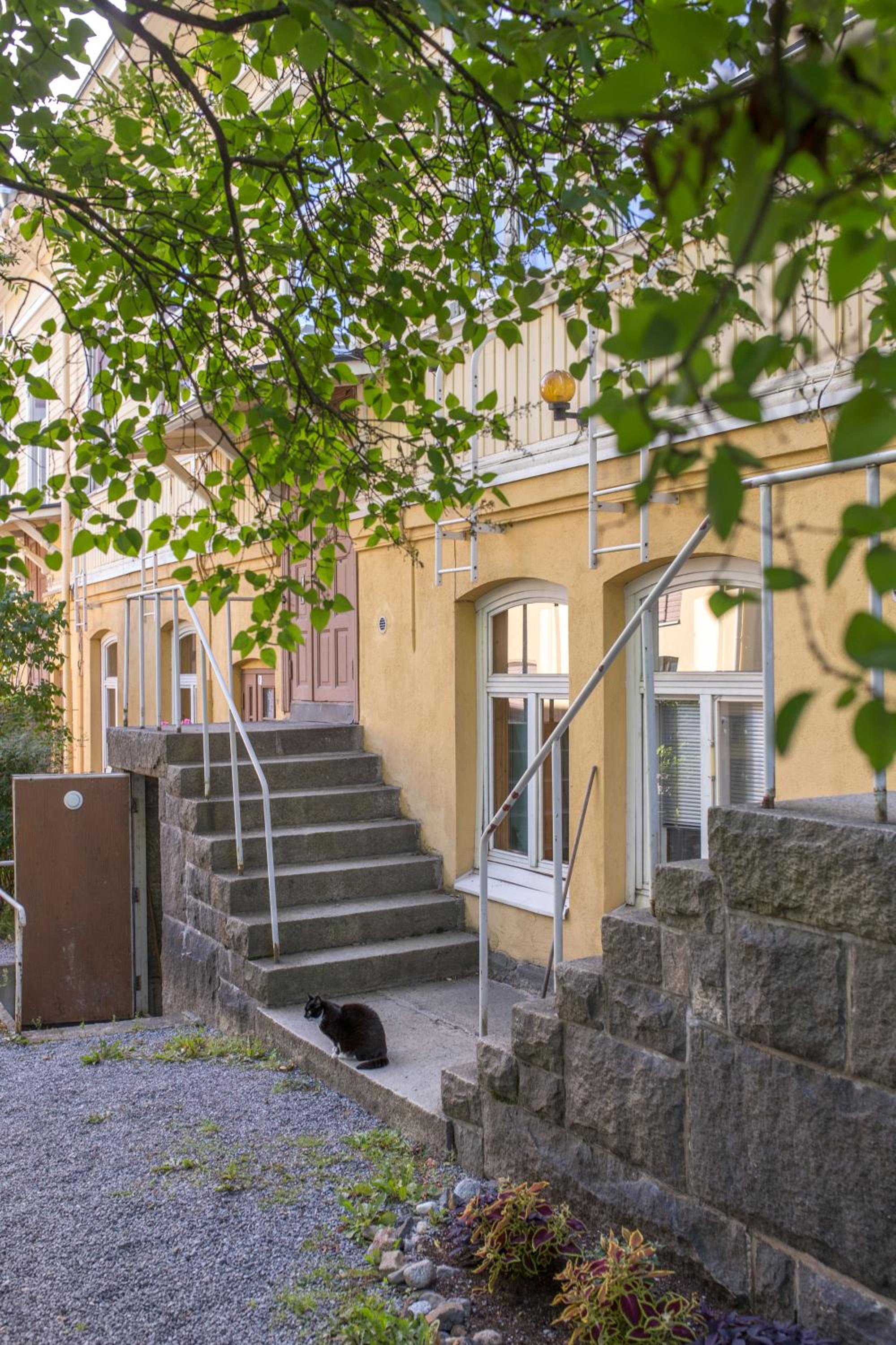 Kodikas Studio