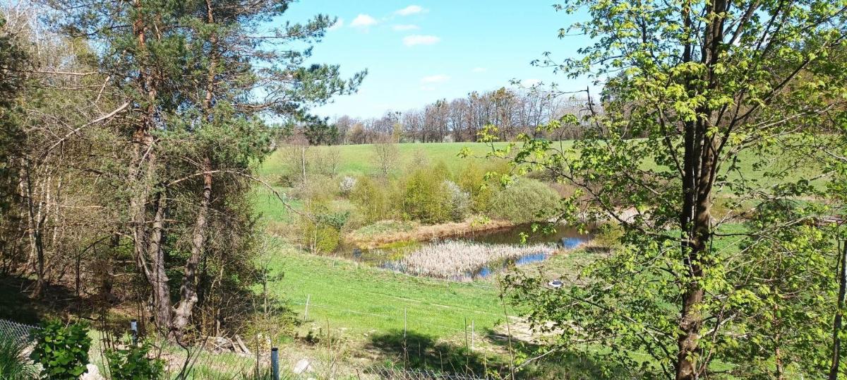 Domek Zielenina view 2