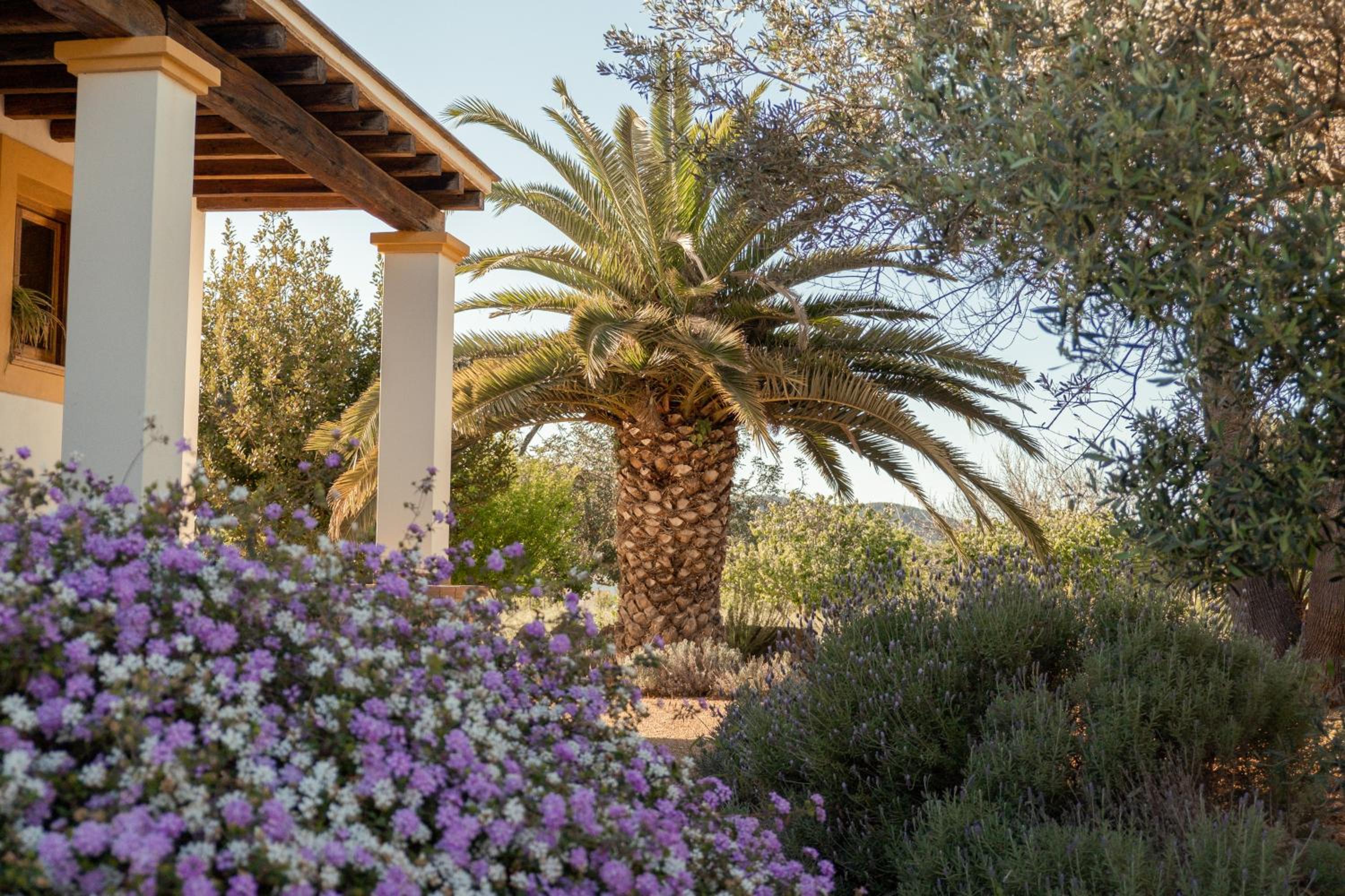 Villa Can Roser - Santa Gertrudis