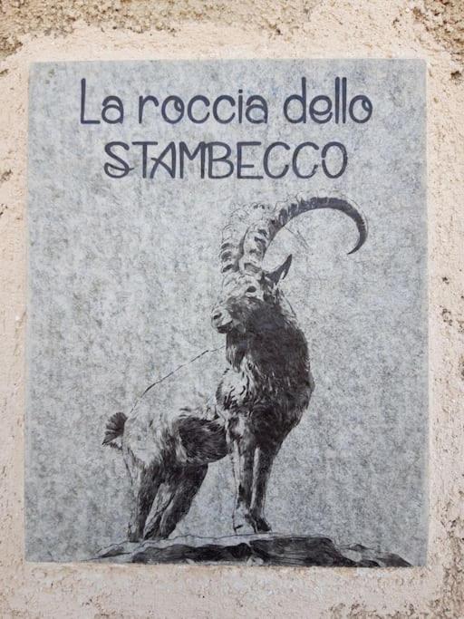 La Maison. La Roccia dello Stambecco view 3