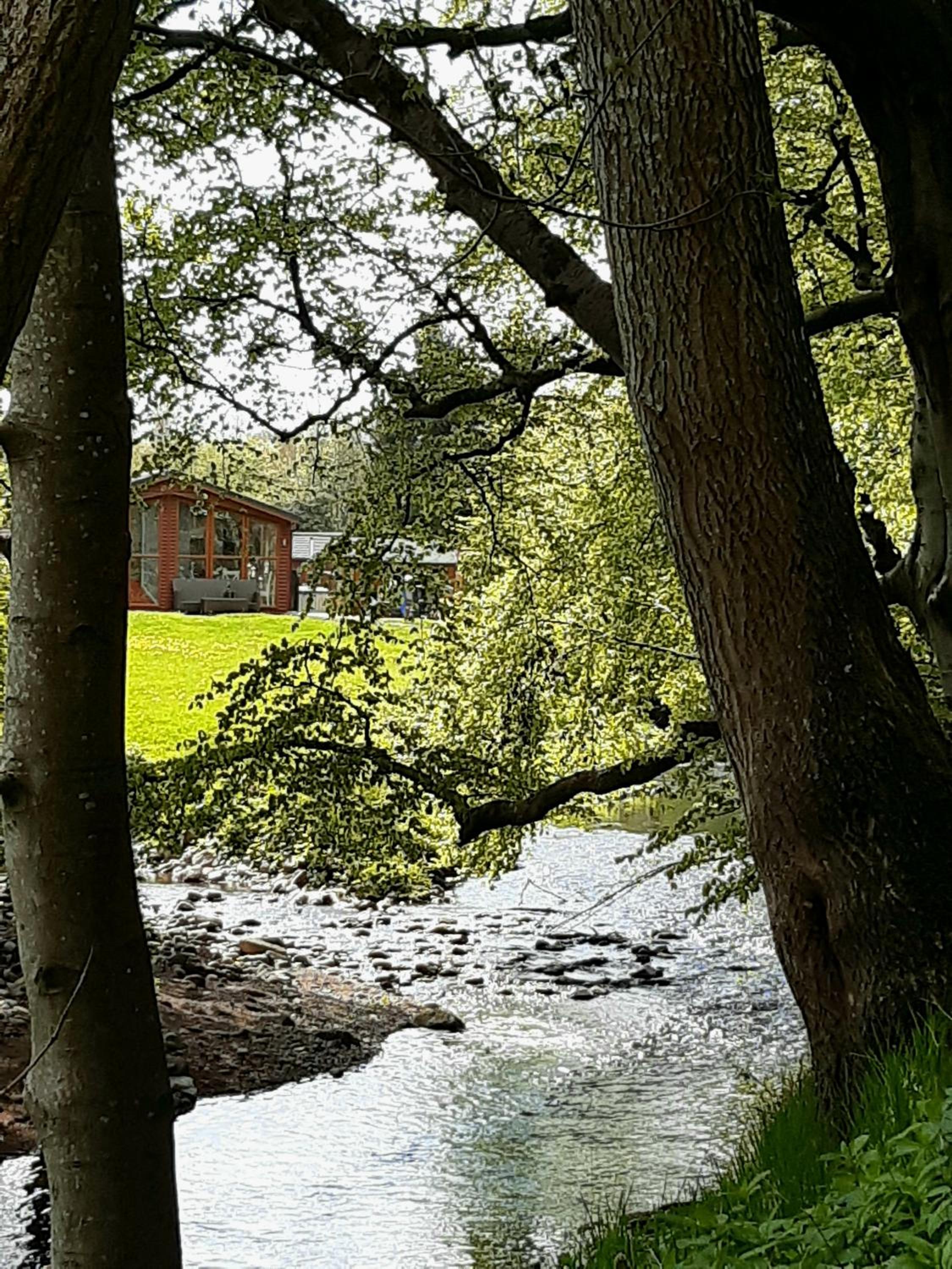 Sycamore Lodge Auchterarder