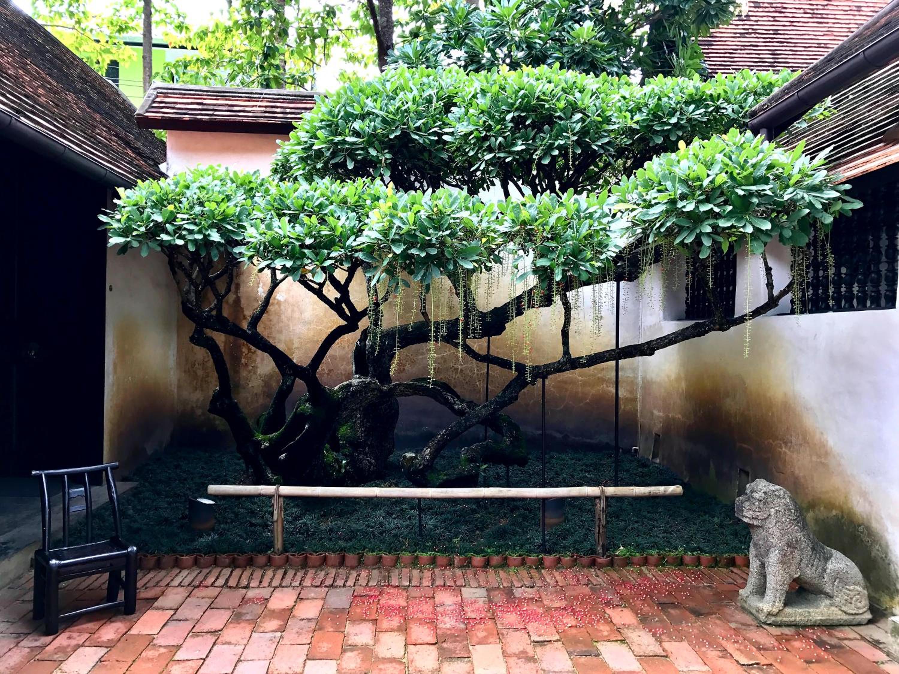 Rachamankha Hotel - Image 3