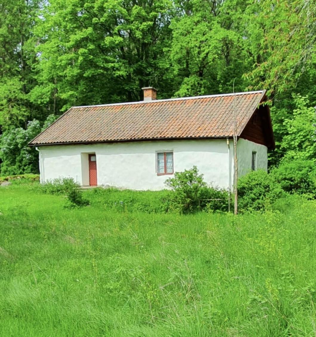 Urlaub vom Elektrosmog - Skogstorpet, Waldhäuschen view 4