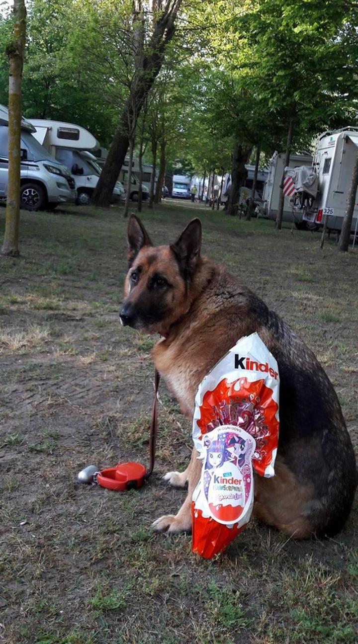 Camping Ancora