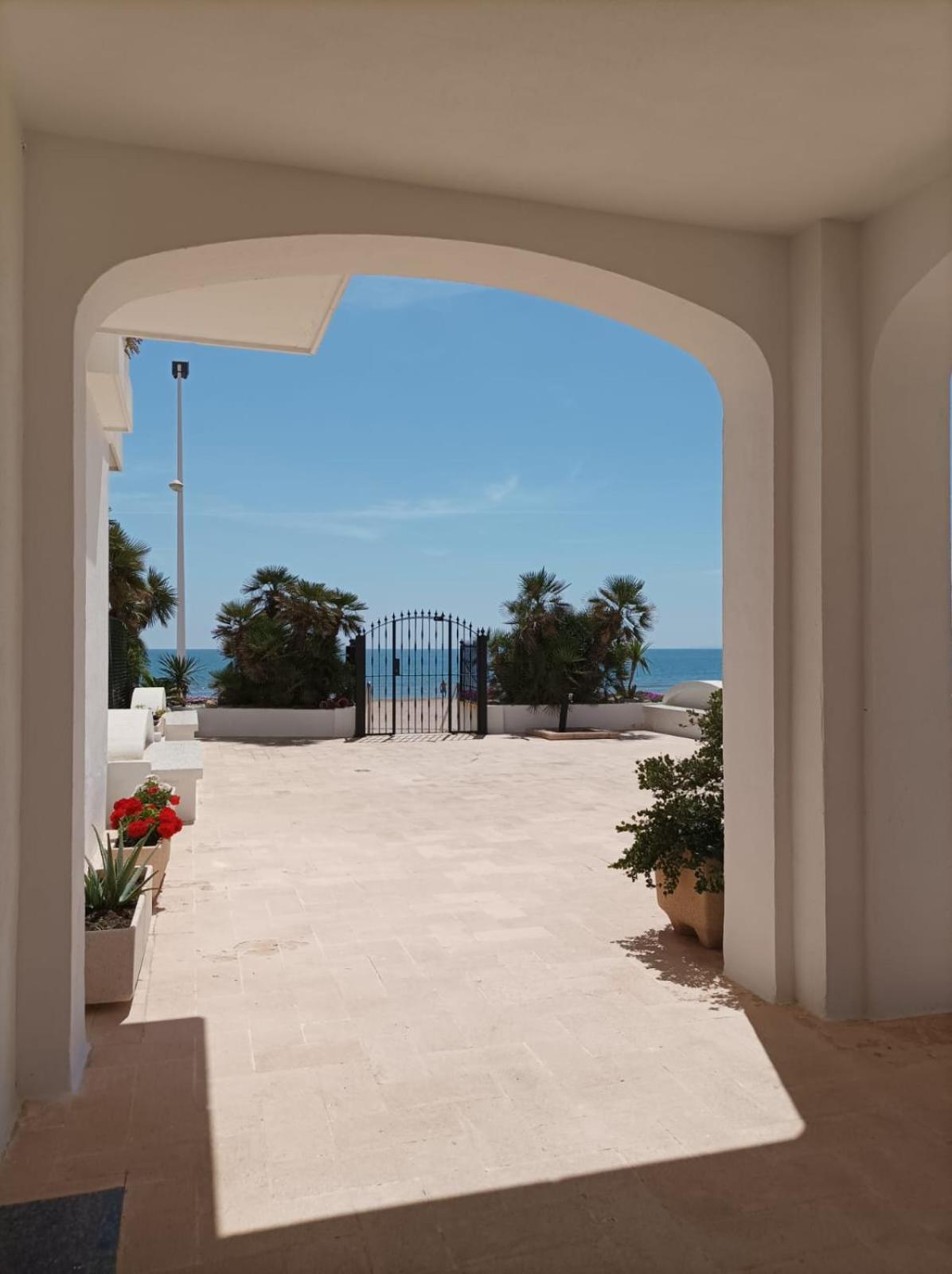Almar Collection Cullera AR