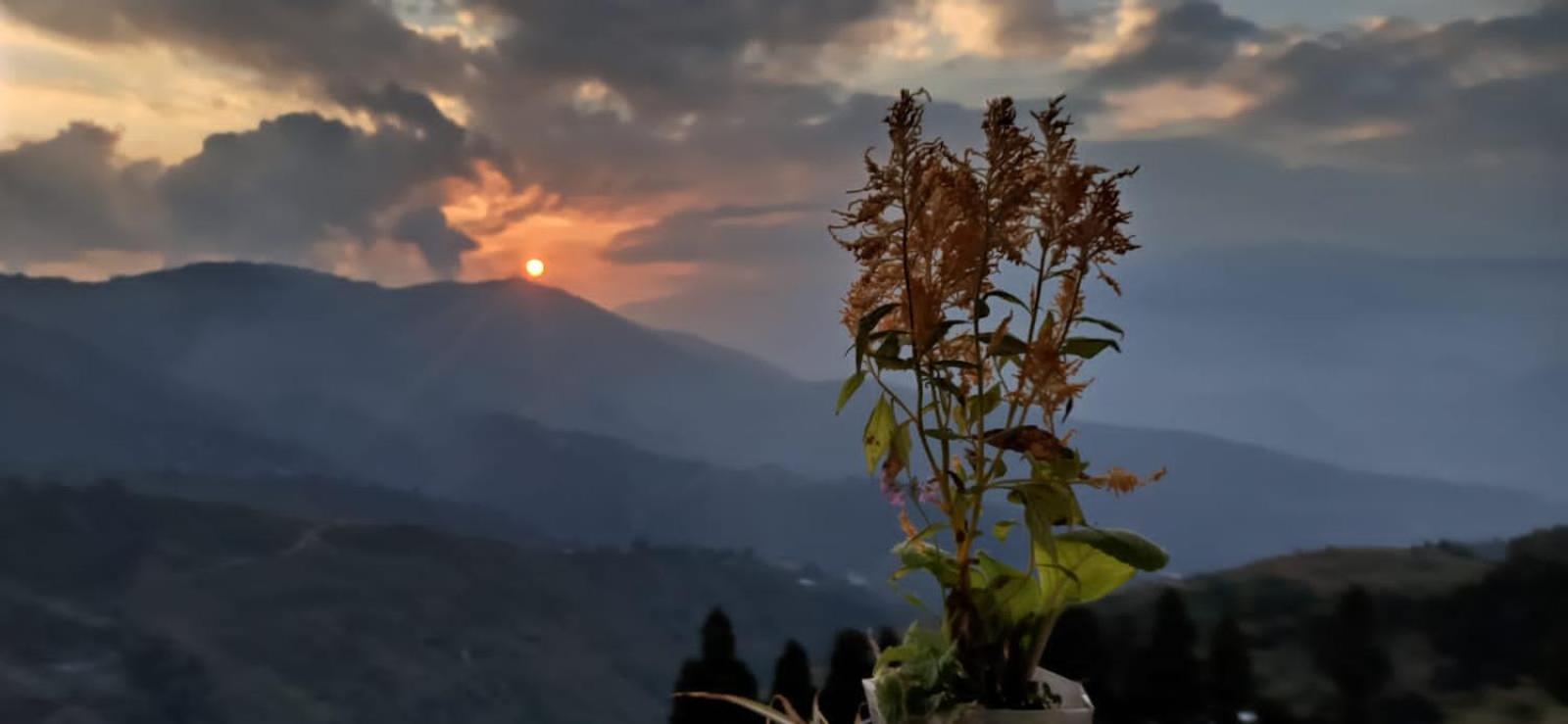 Valley View Homestay