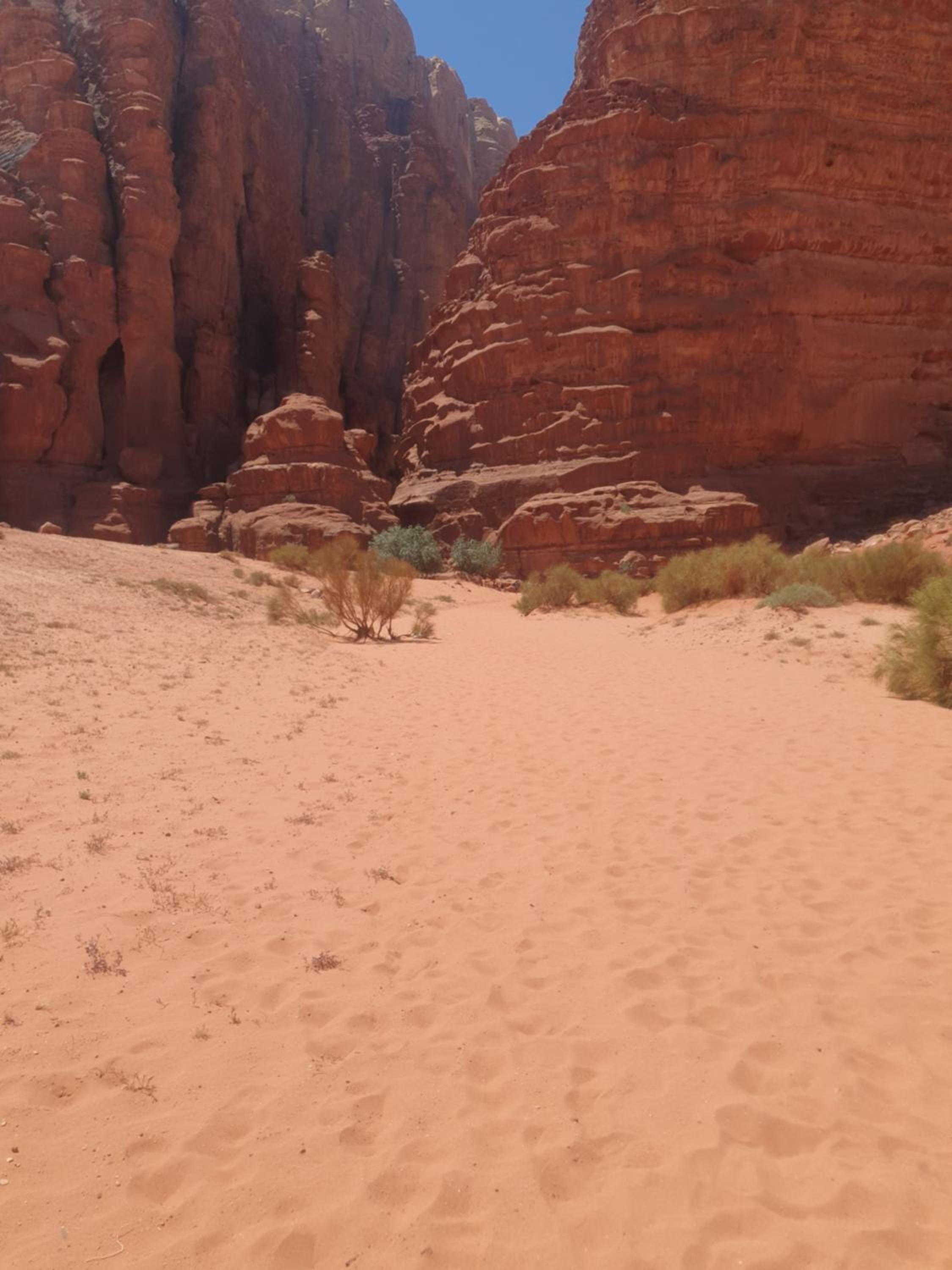 Bedouin experiences