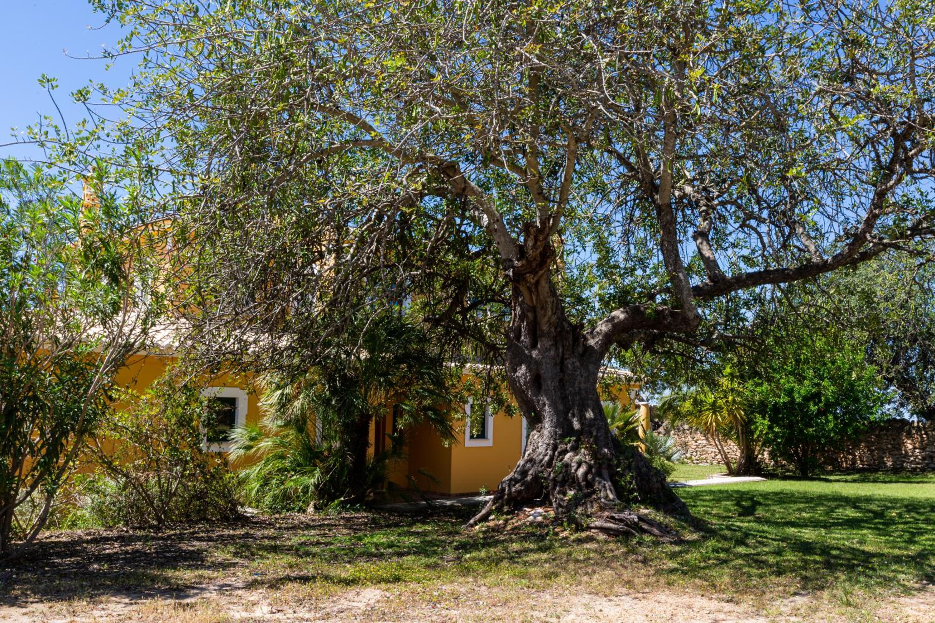 Vila Limão