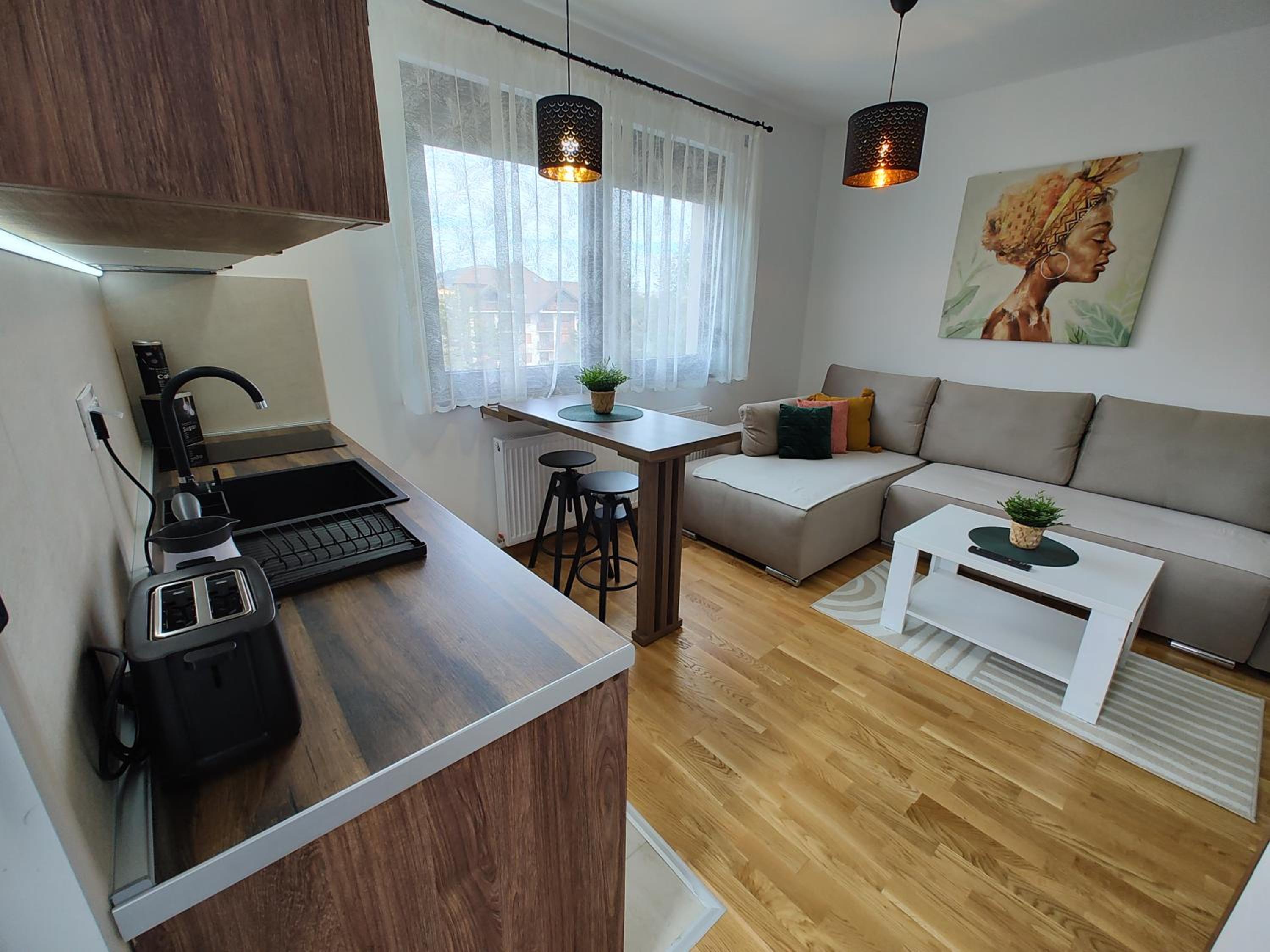 Velika Recepcija 19 view 3