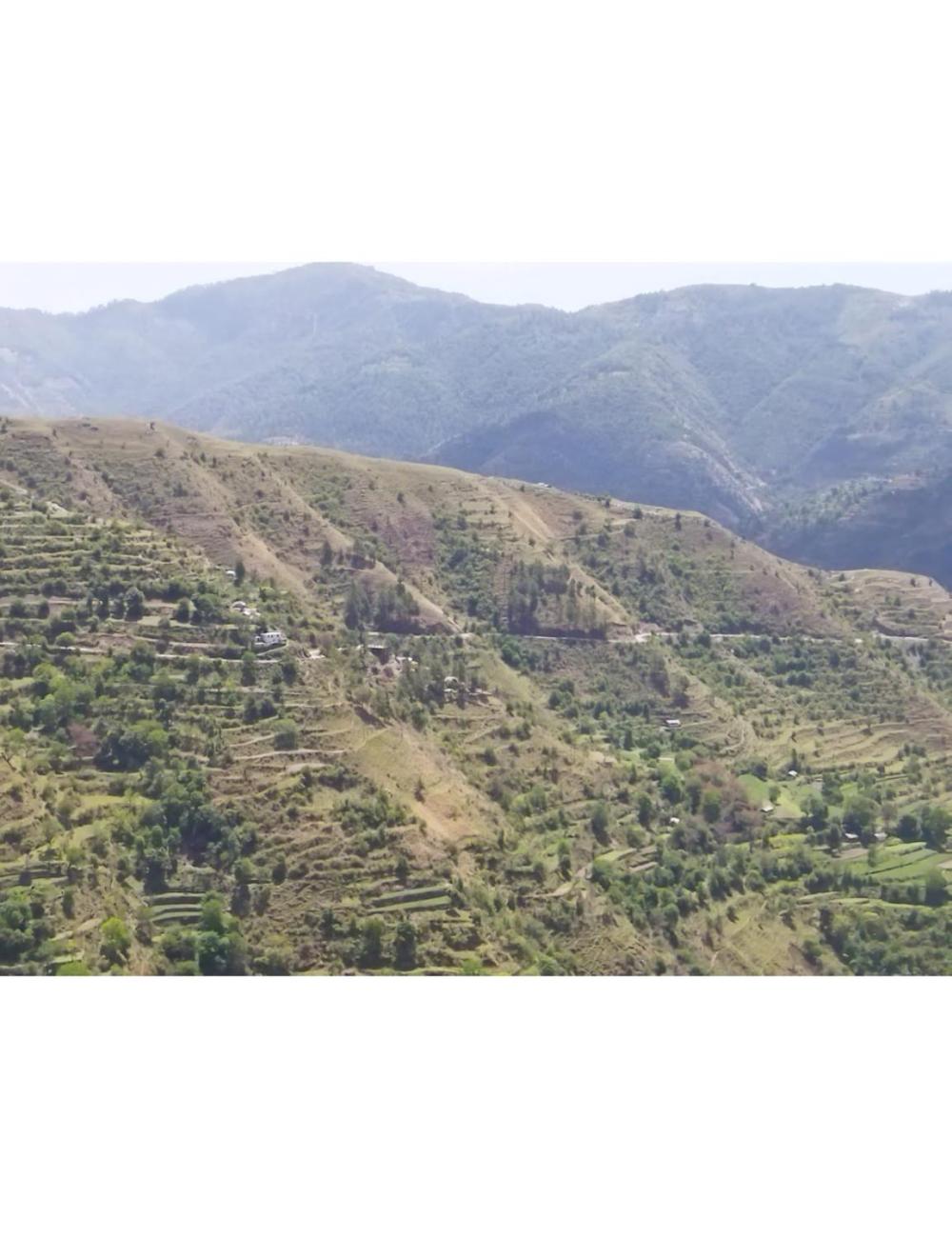 Hotel Mountain View, Chakrata view 3