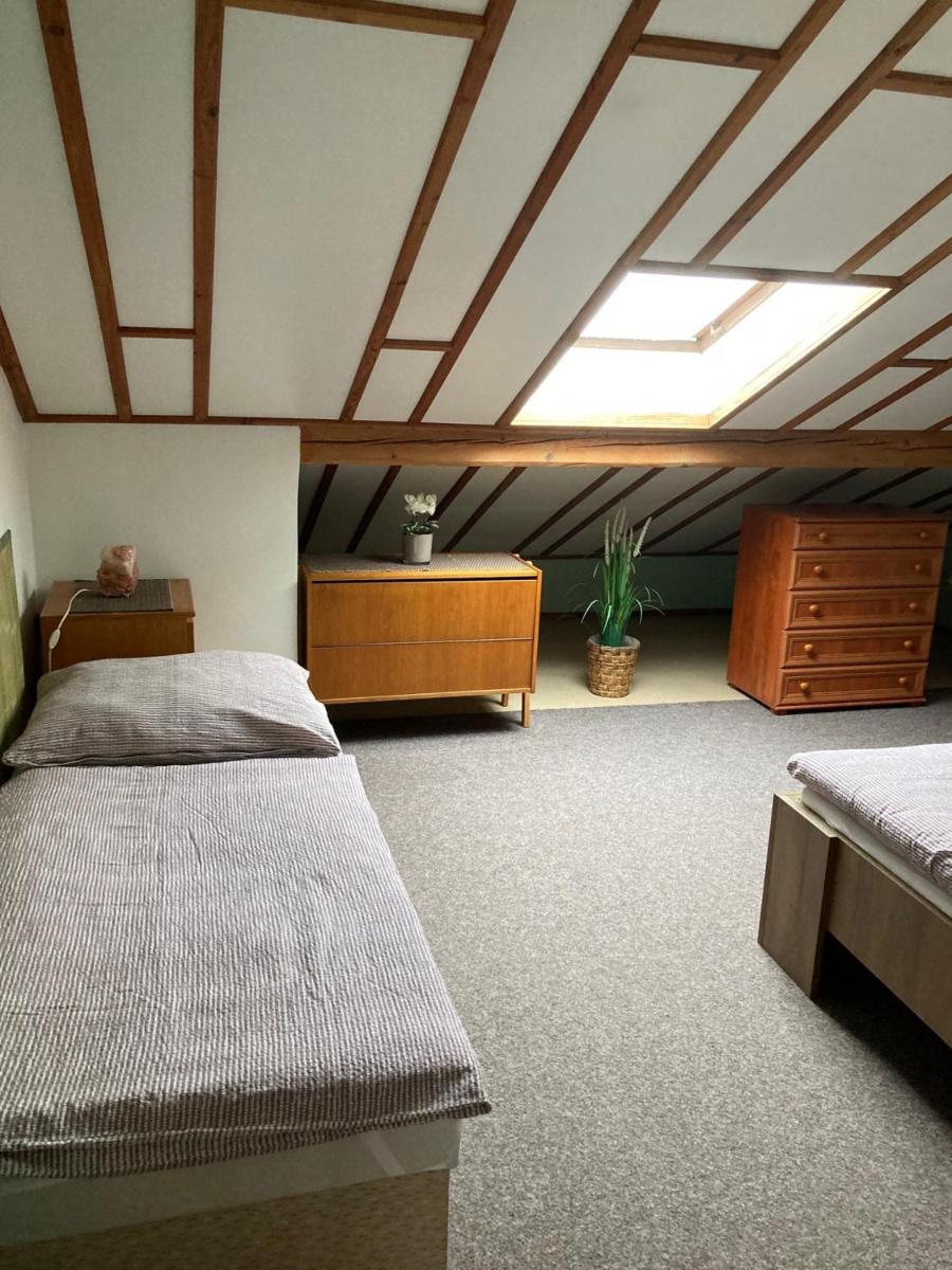 Apartmán Na Ostrově Beroun view 5