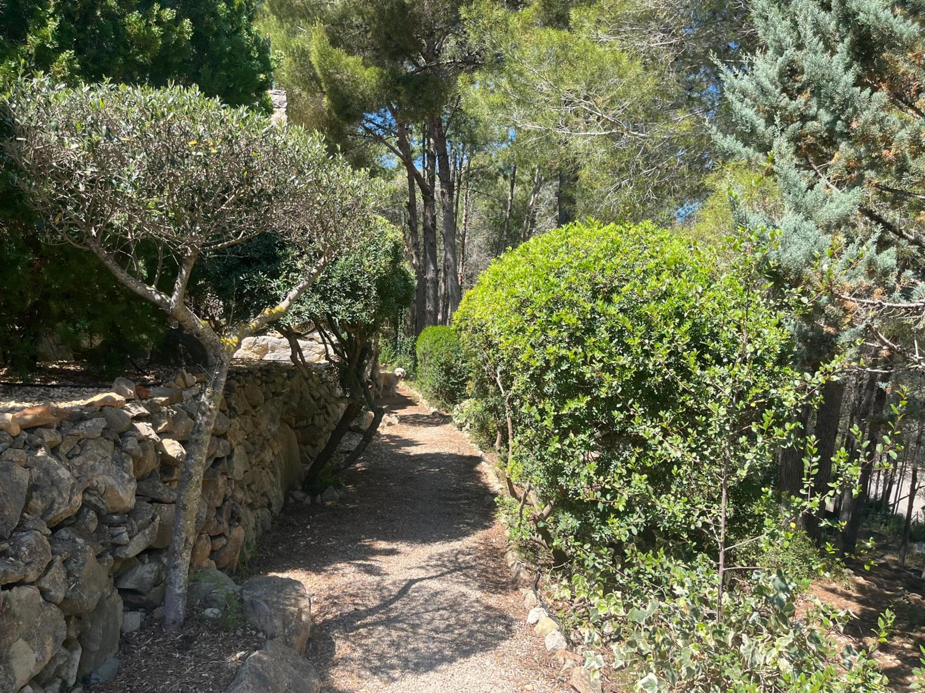 Photo 28
