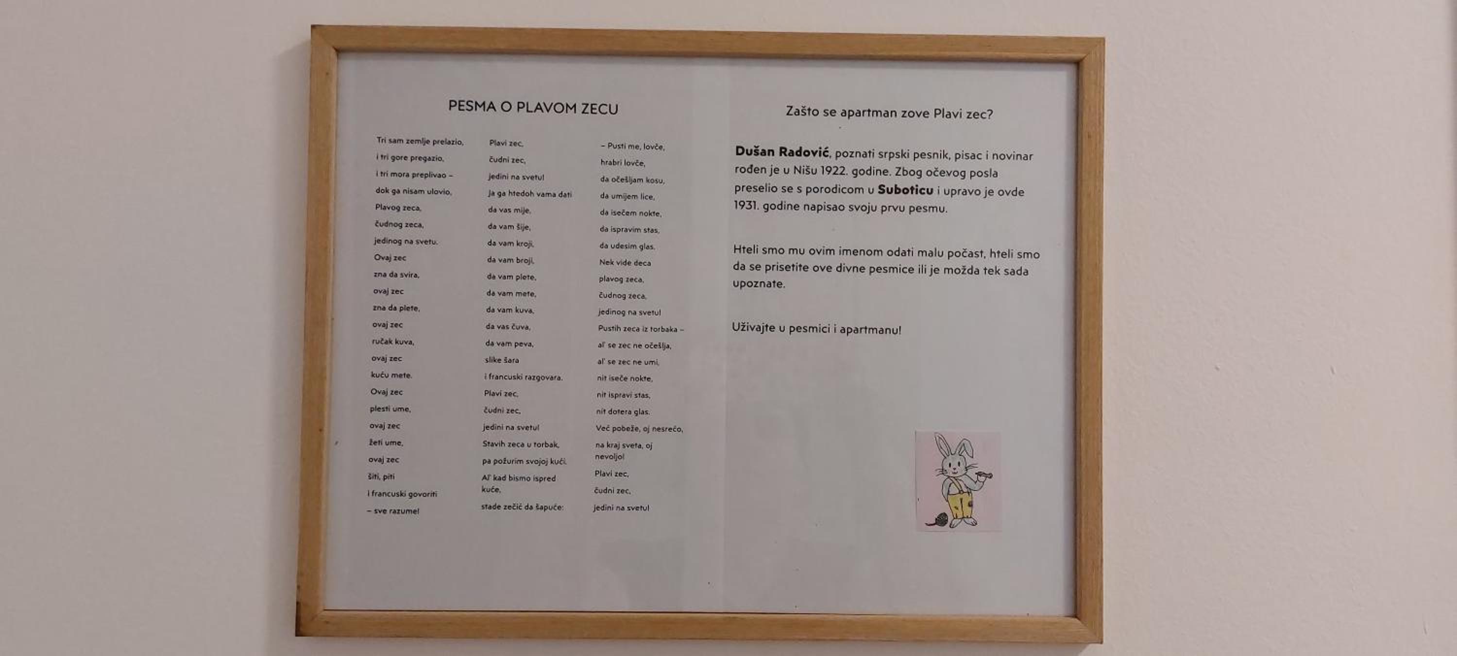 Plavi zec