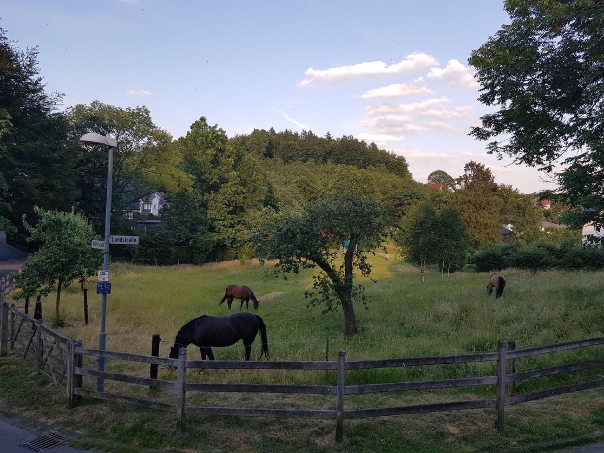 Ferienwohnung Drei Lilien