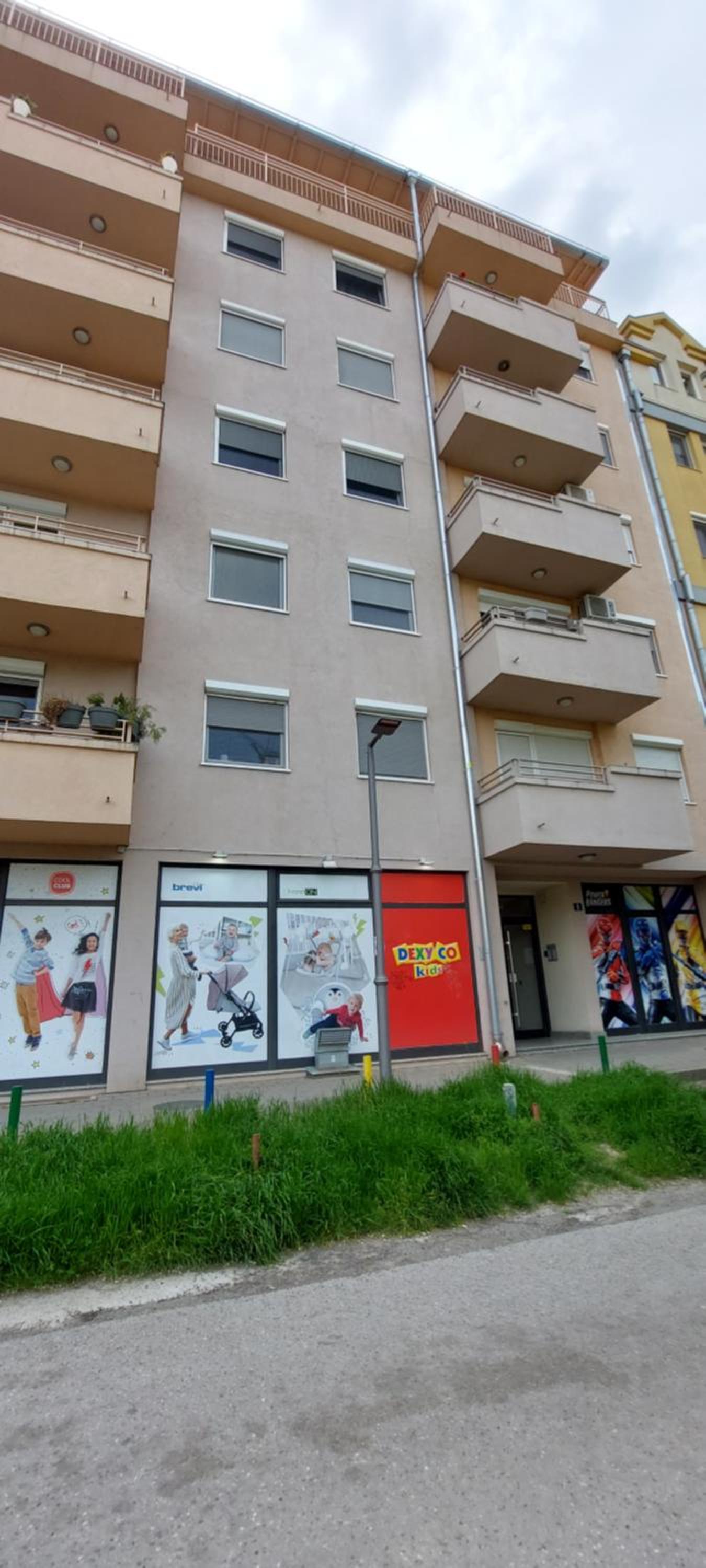 Plavi zec