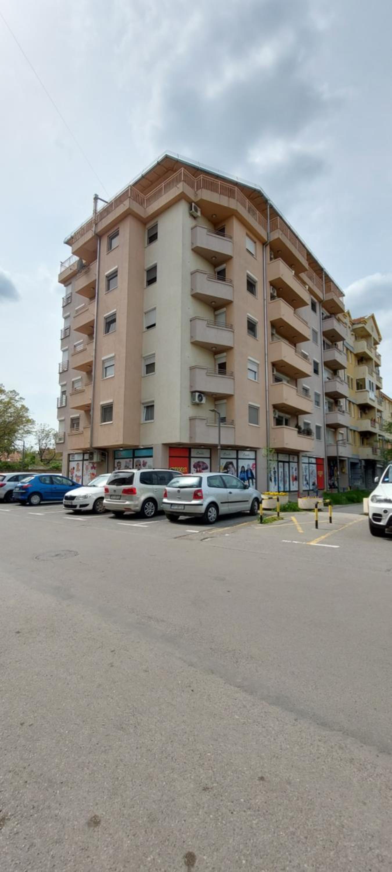 Plavi zec