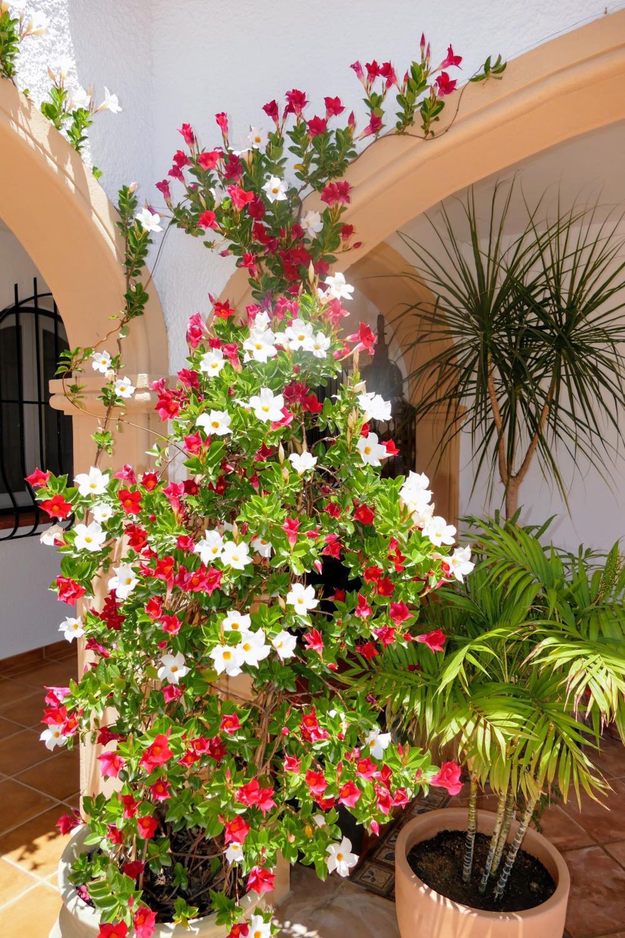Villa EntreMarYTierra - piscina privada - climatizada