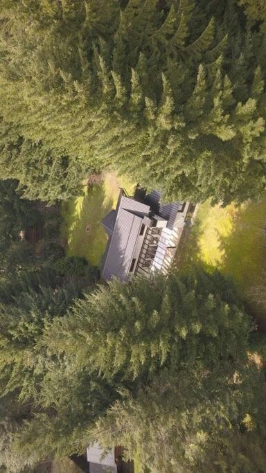 Villa La Angostura - El Encuentro: Un lugar soñado