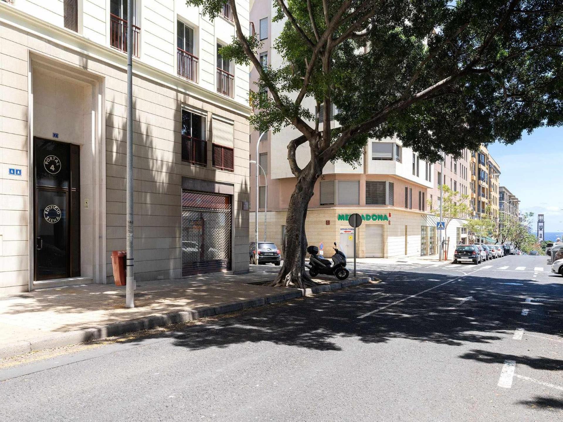 Siena Urban Live Canarias