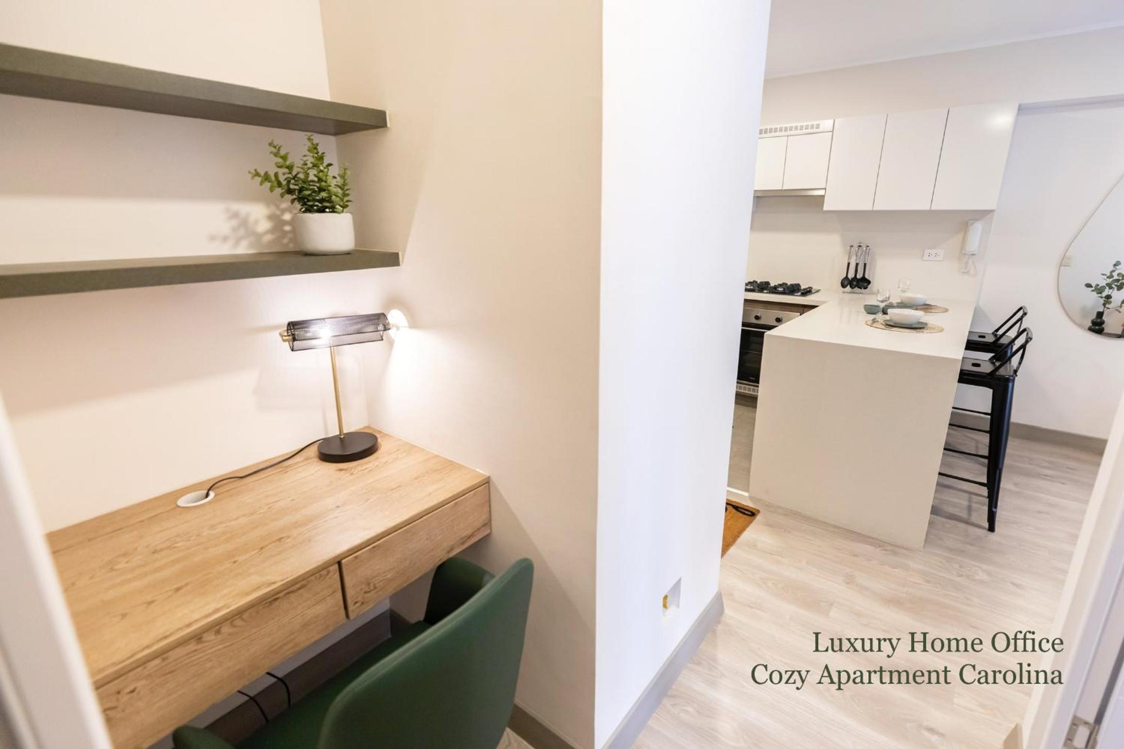Cozy Apartment in Business Center San Isidro view 5
