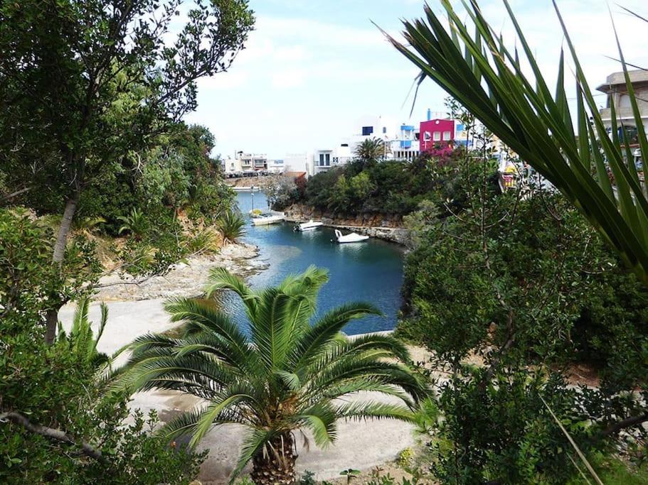 Sissi Olive home view 2