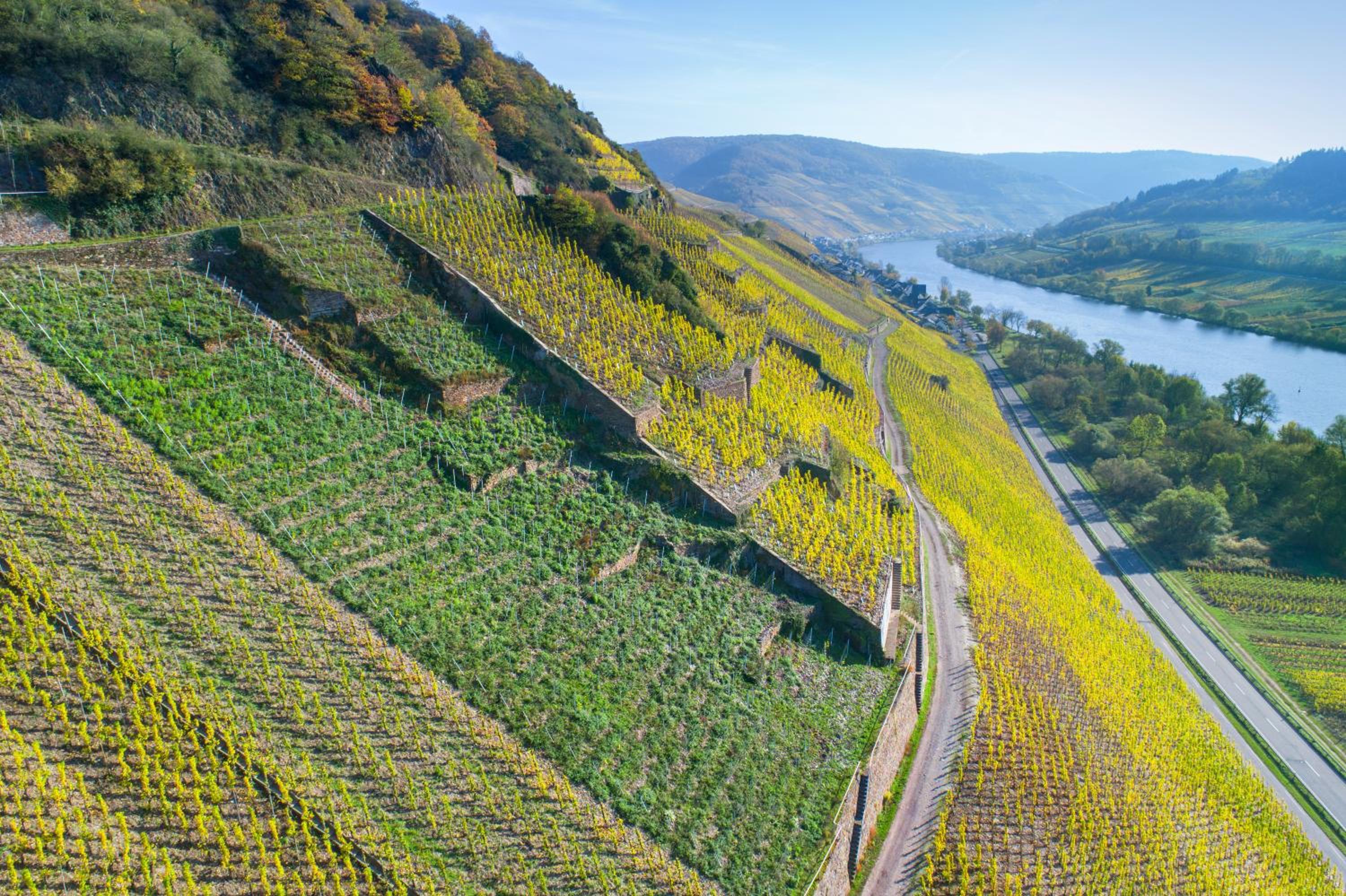 Haus in Spay an der Mosel mit Sauna