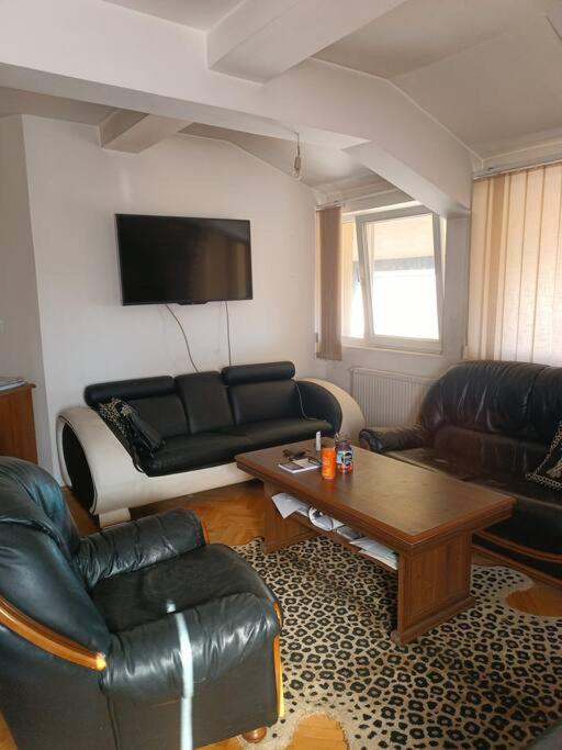 Vranje City Center, Penthouse Delux Apartment view 3