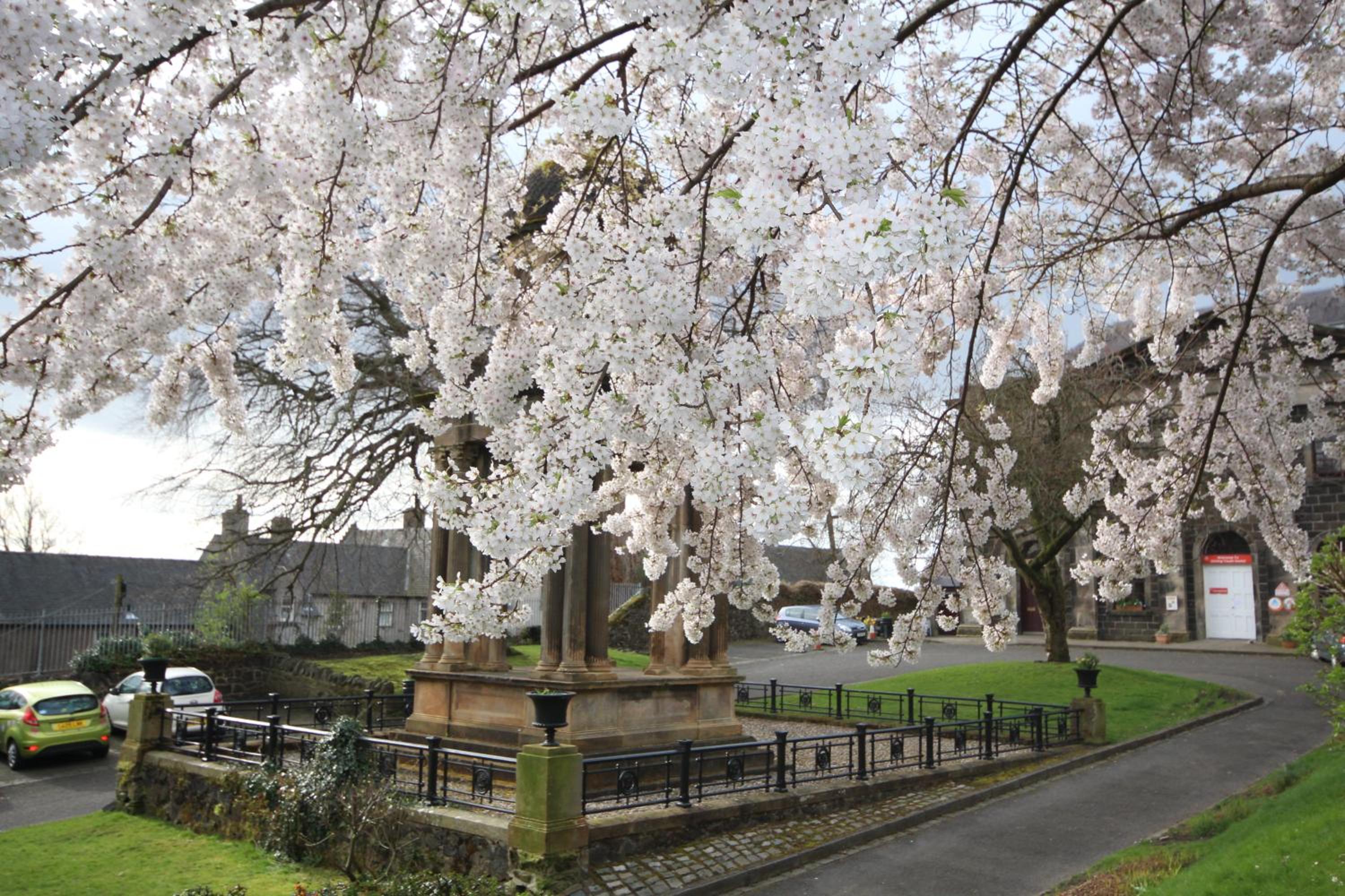 Stirling Youth Hostel view 5