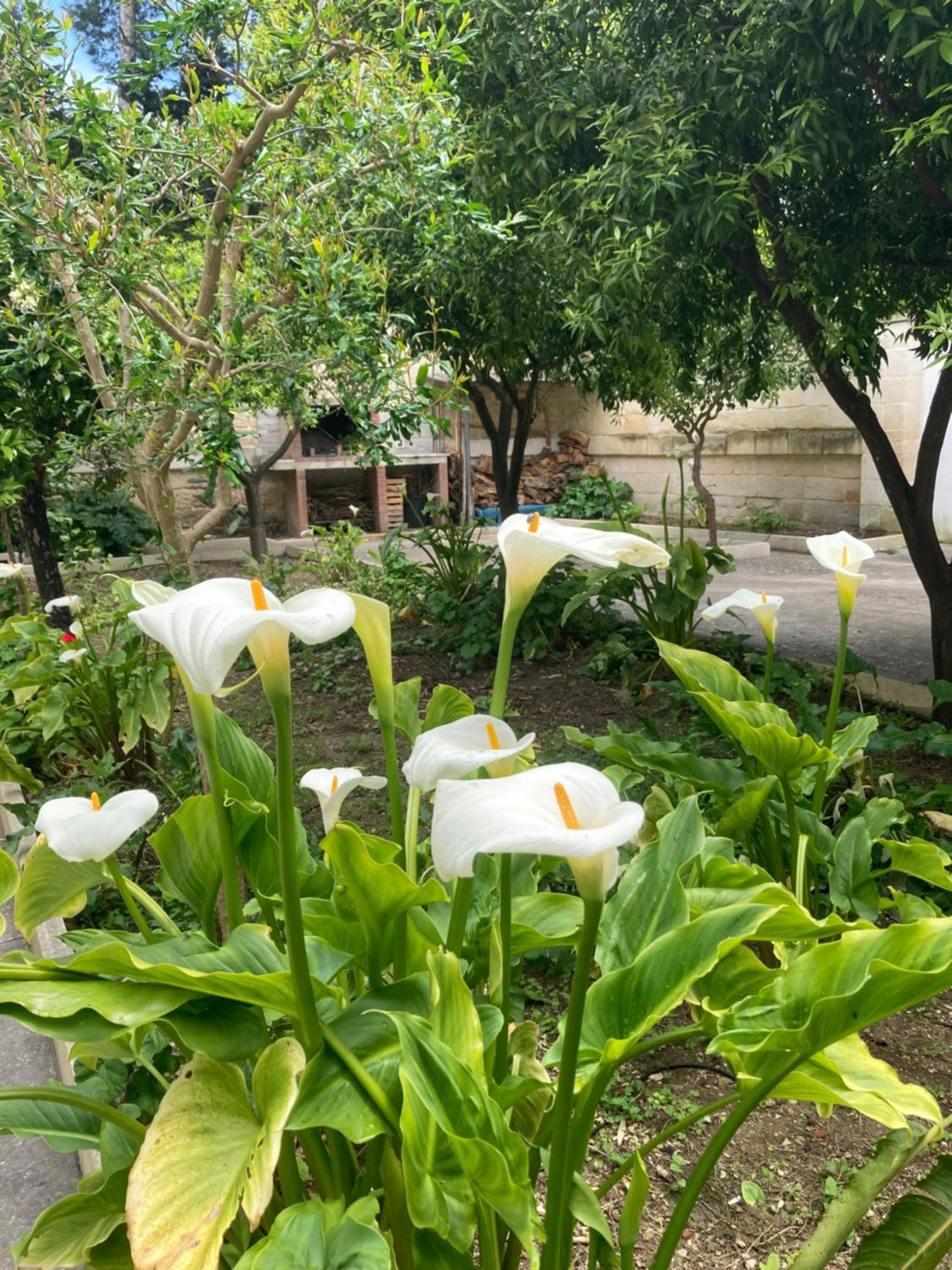 Federico's Vila en Lecce — other