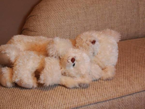 Photo 19