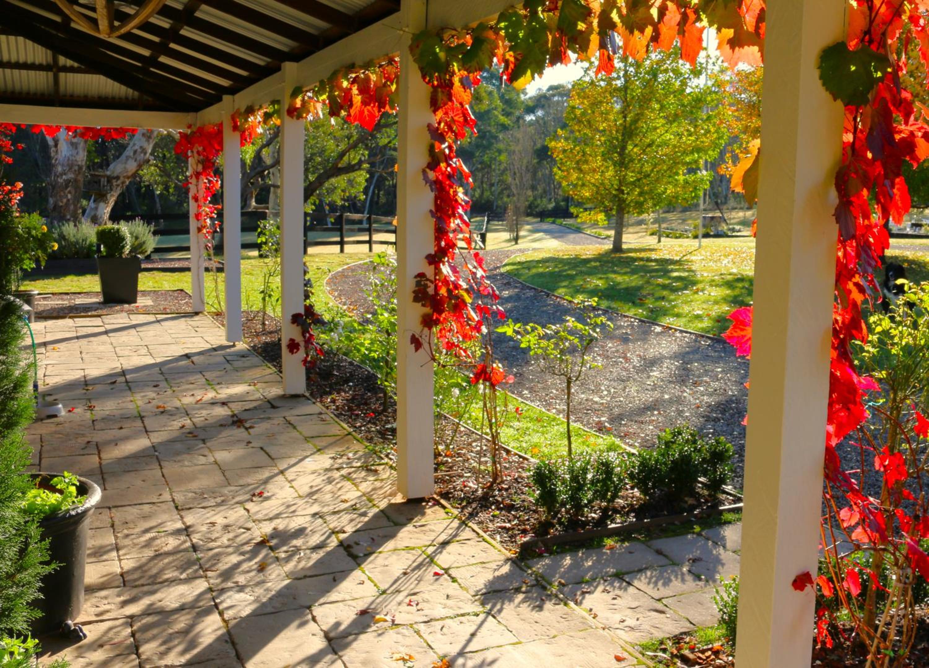 Amberlea Homestead & Cottage