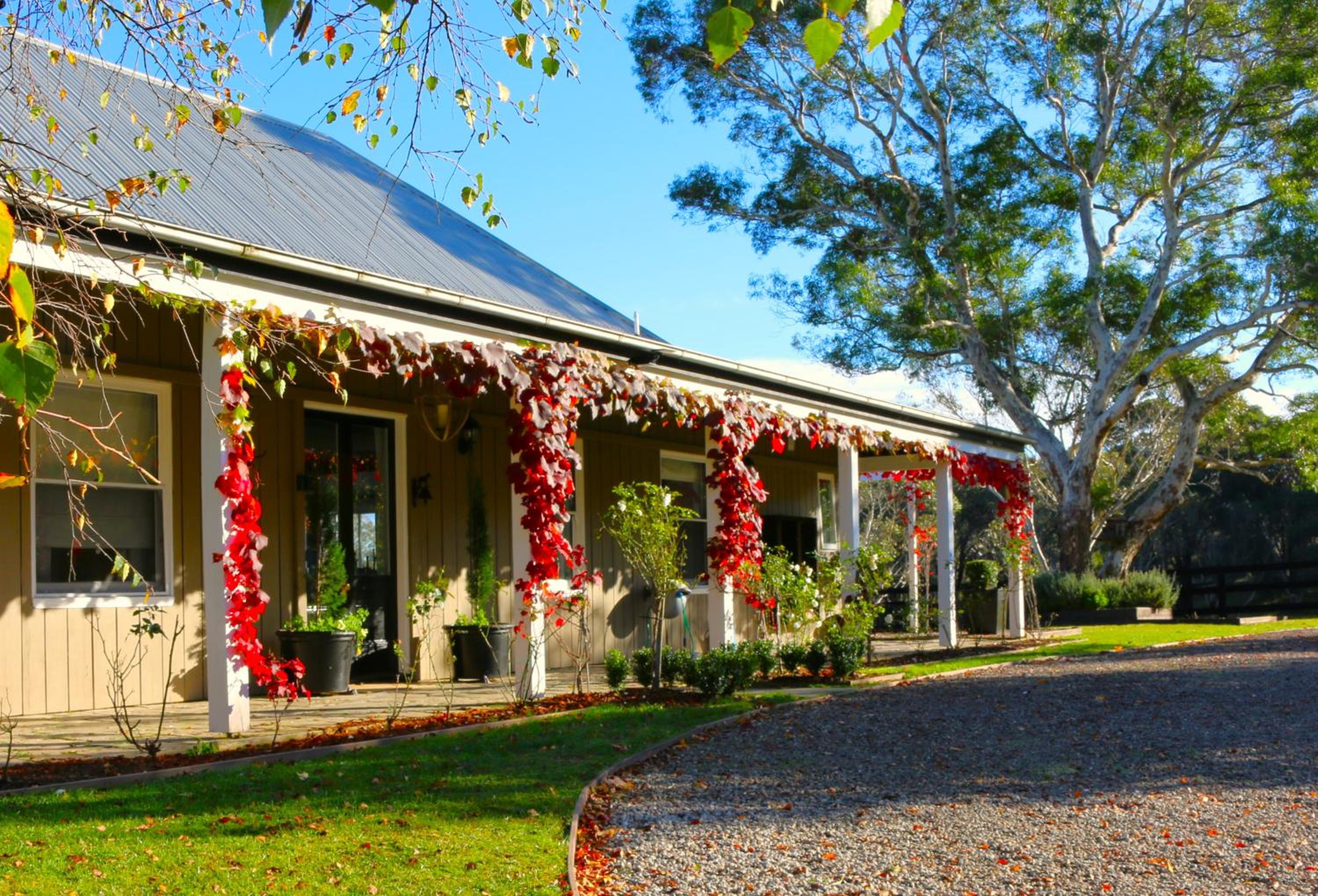 Amberlea Homestead & Cottage